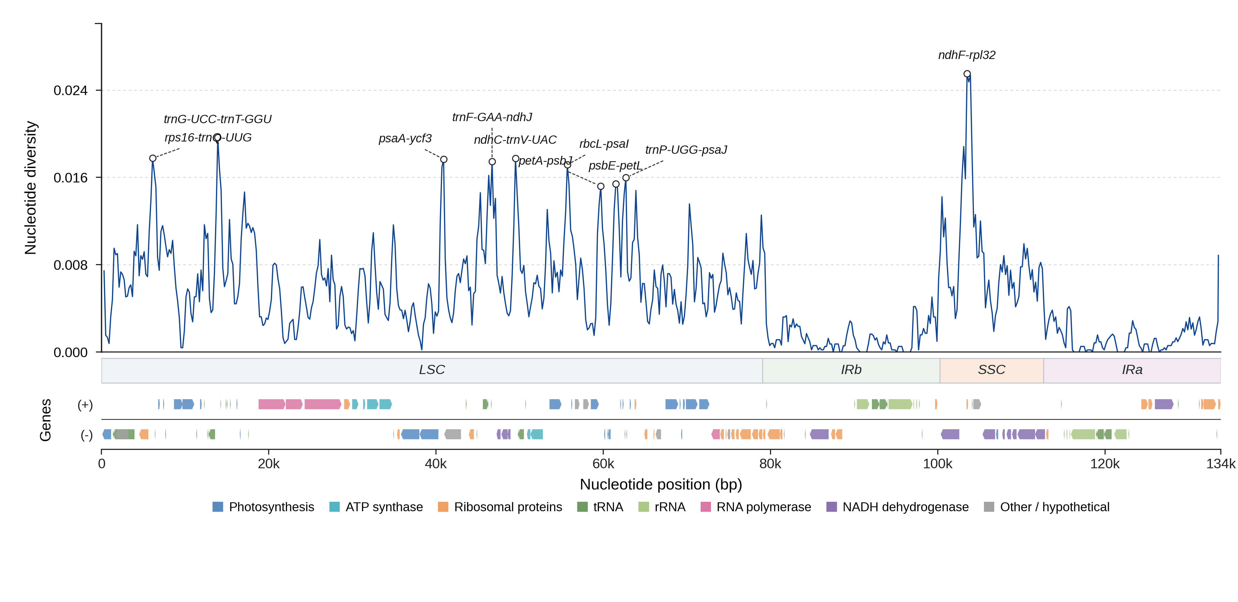 Sliding-window nucleotide diversity