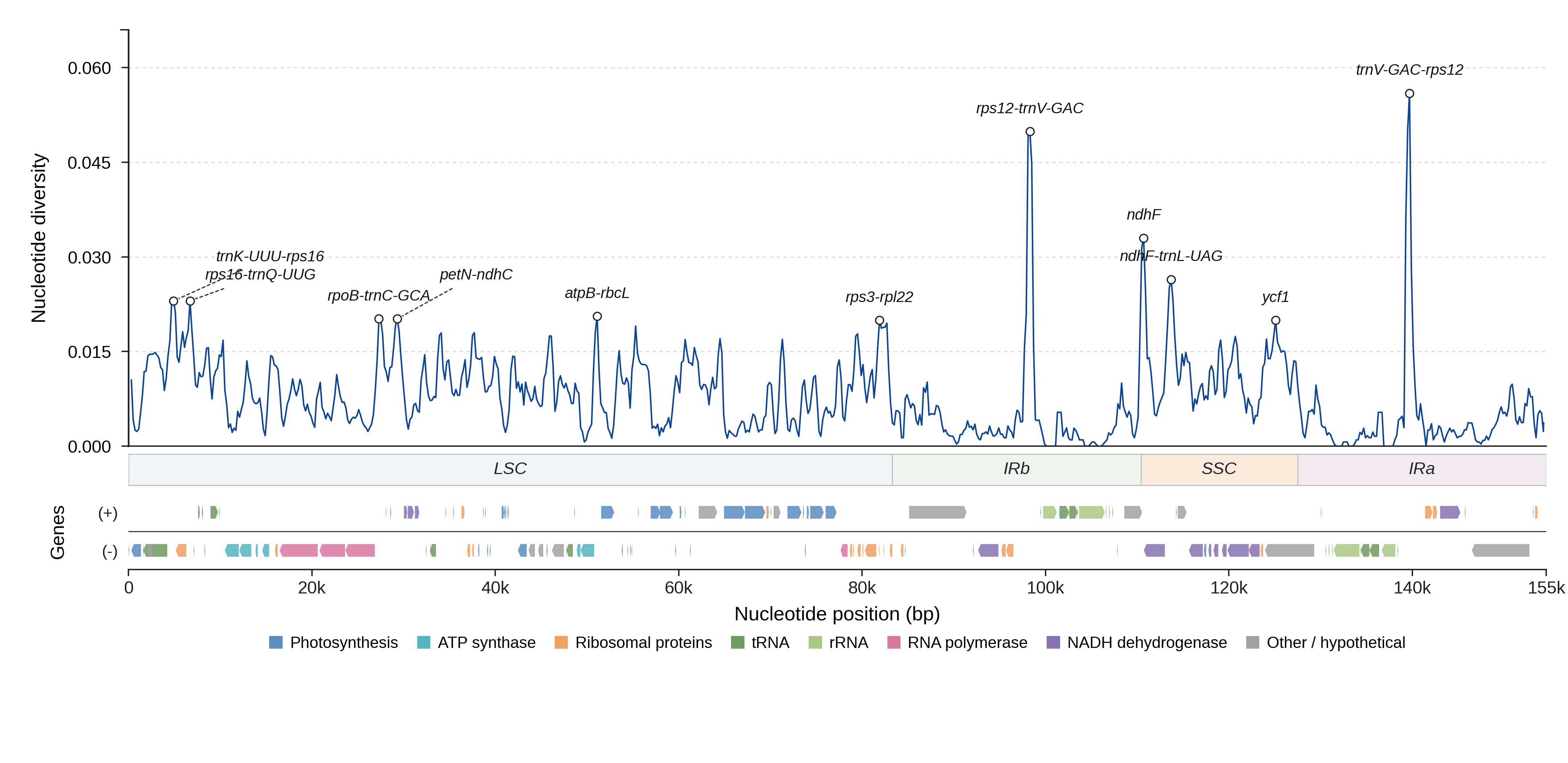 Sliding-window nucleotide diversity