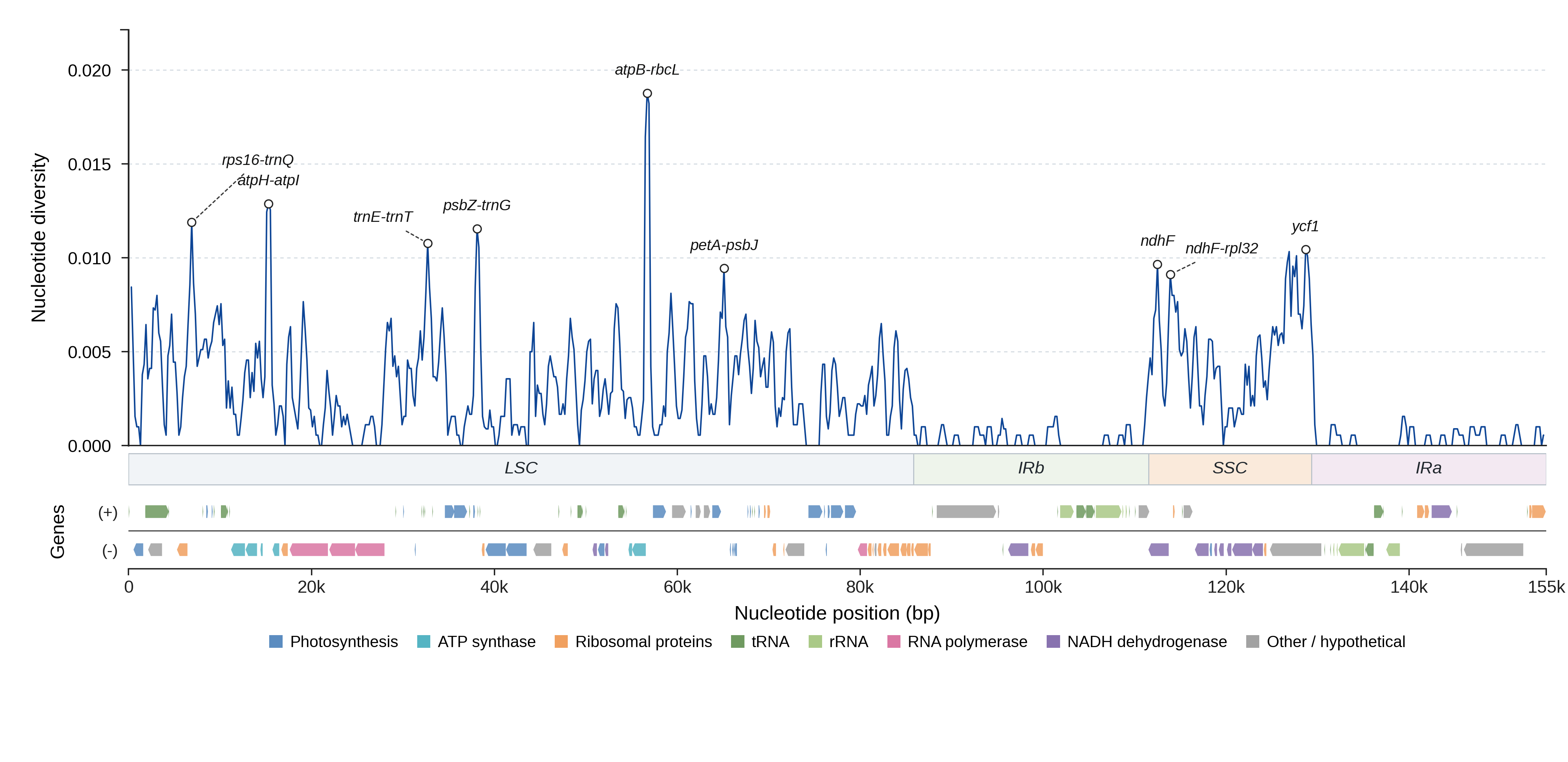 Sliding-window nucleotide diversity