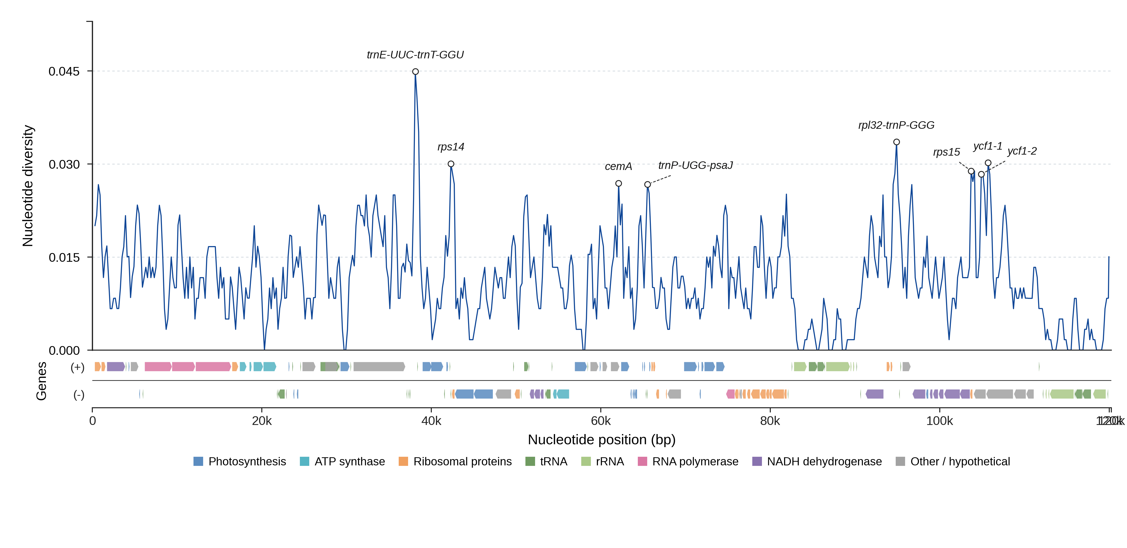 Sliding-window nucleotide diversity