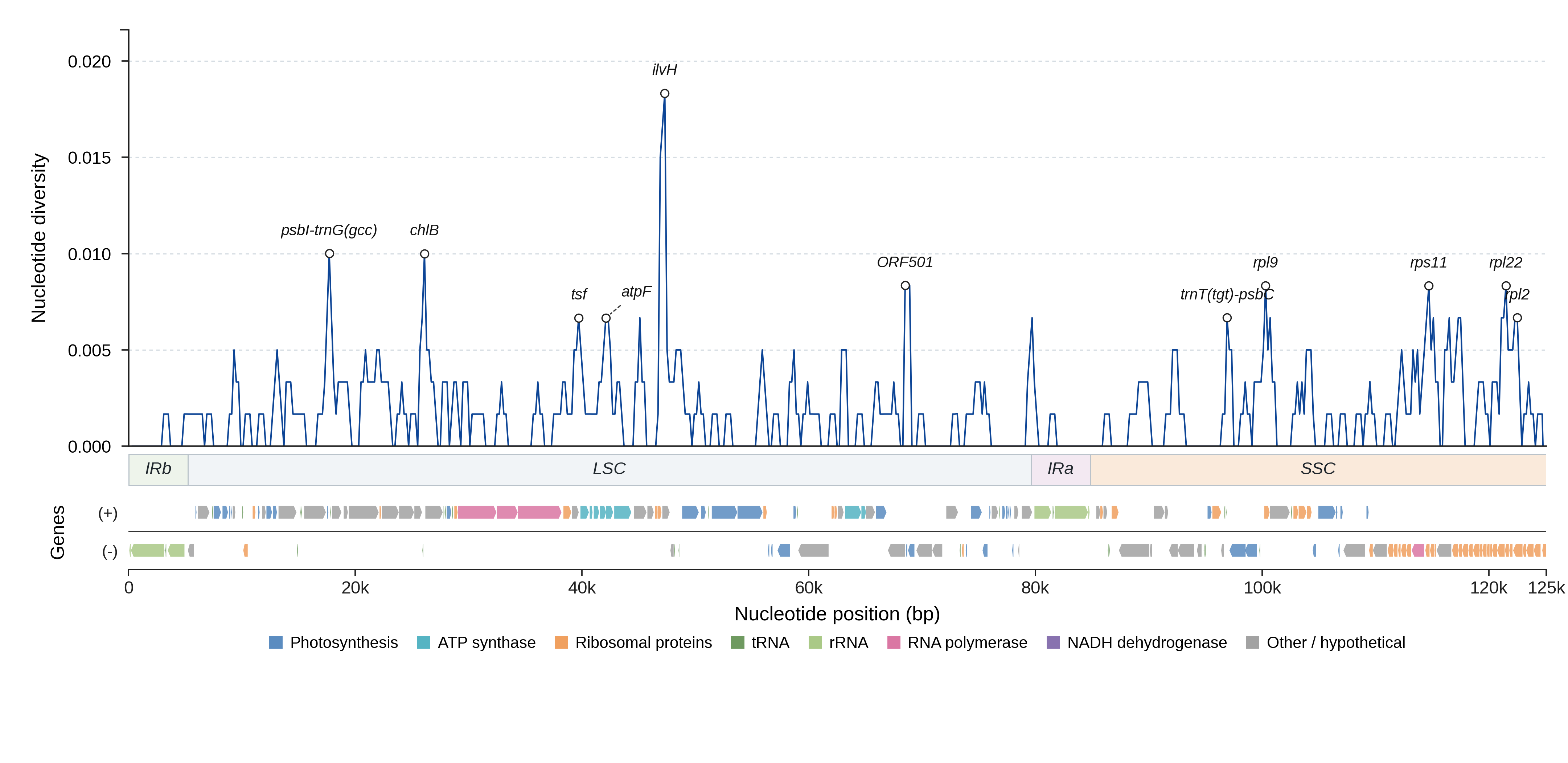 Sliding-window nucleotide diversity