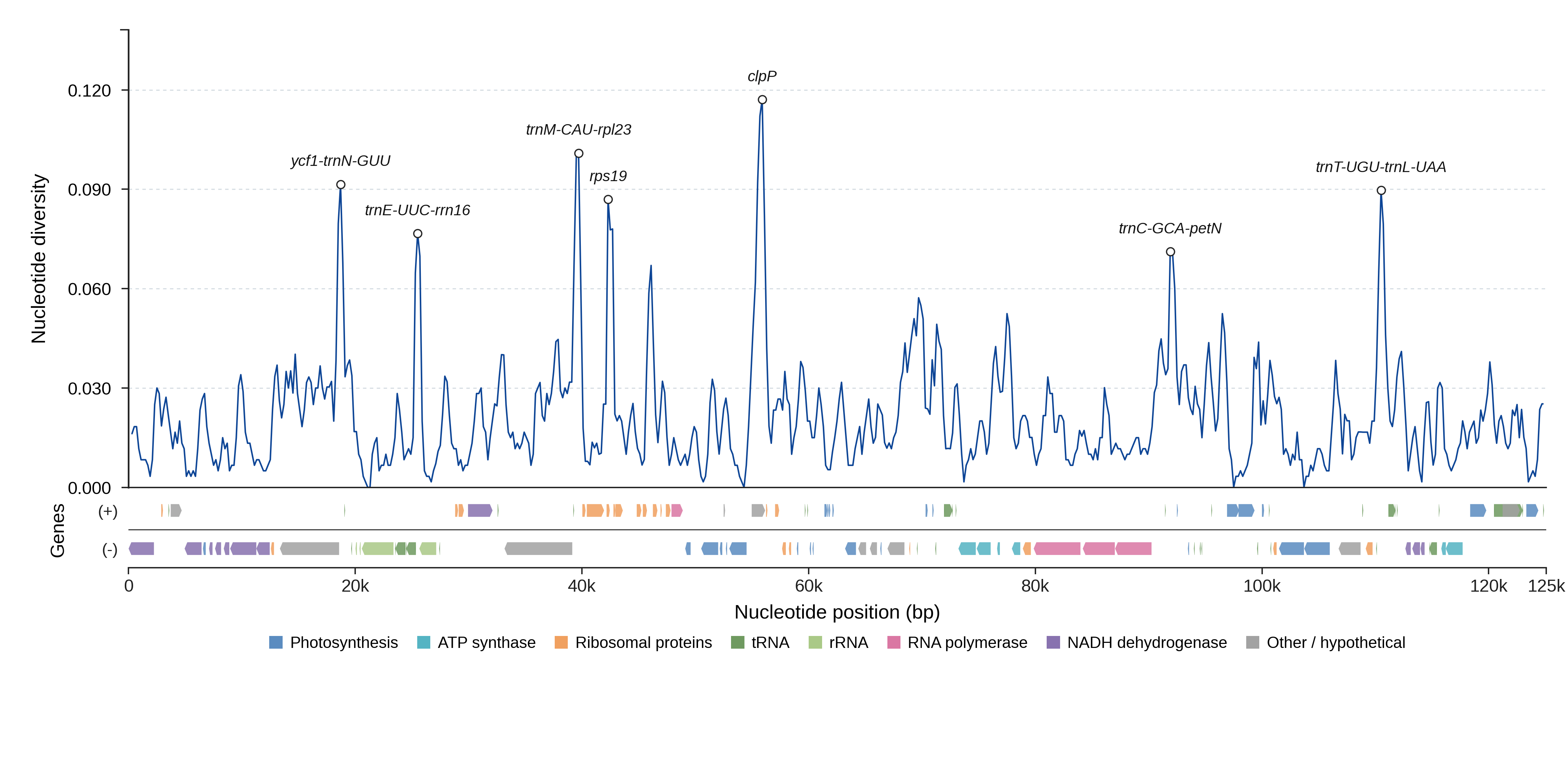 Sliding-window nucleotide diversity