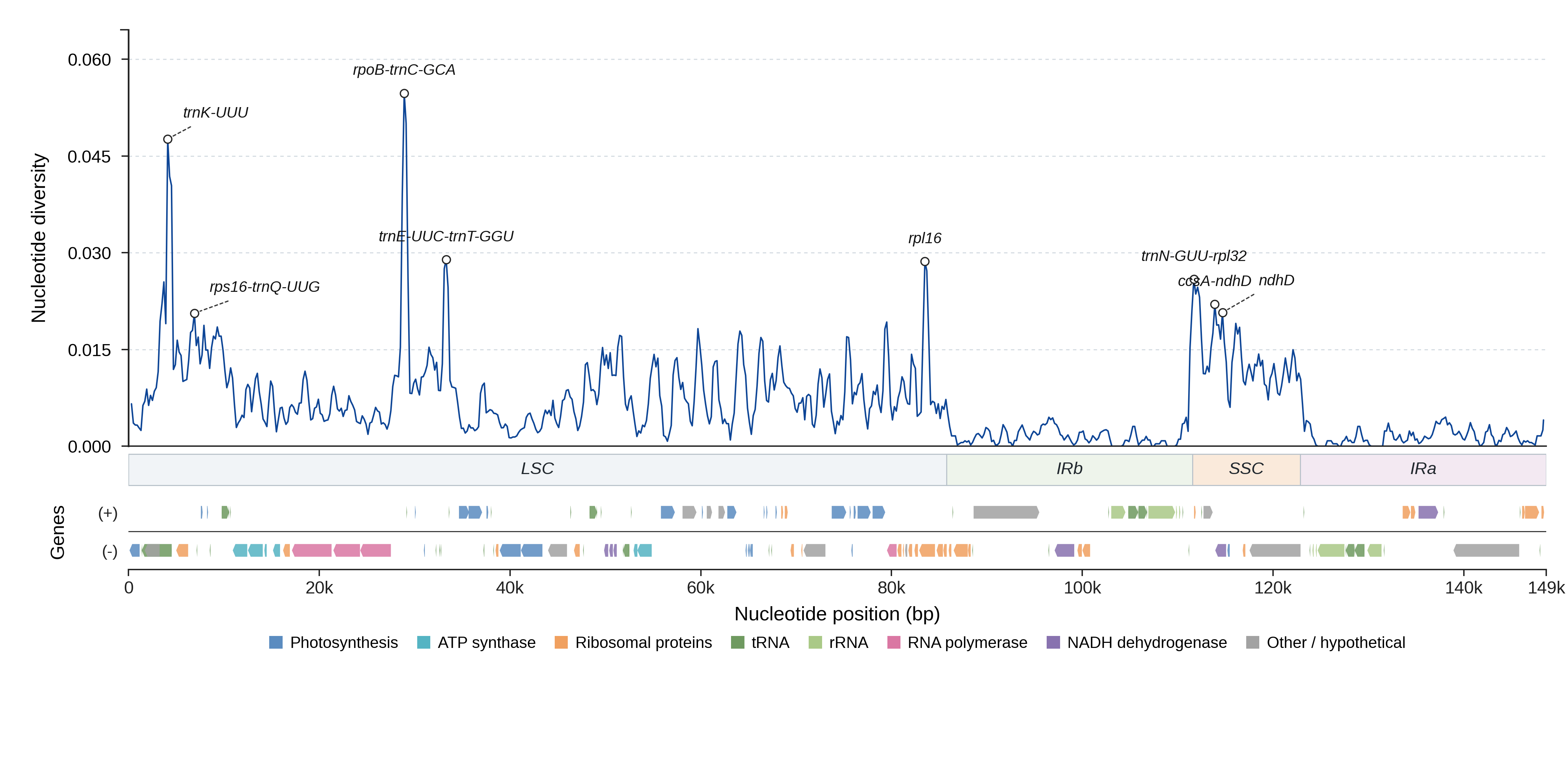Sliding-window nucleotide diversity