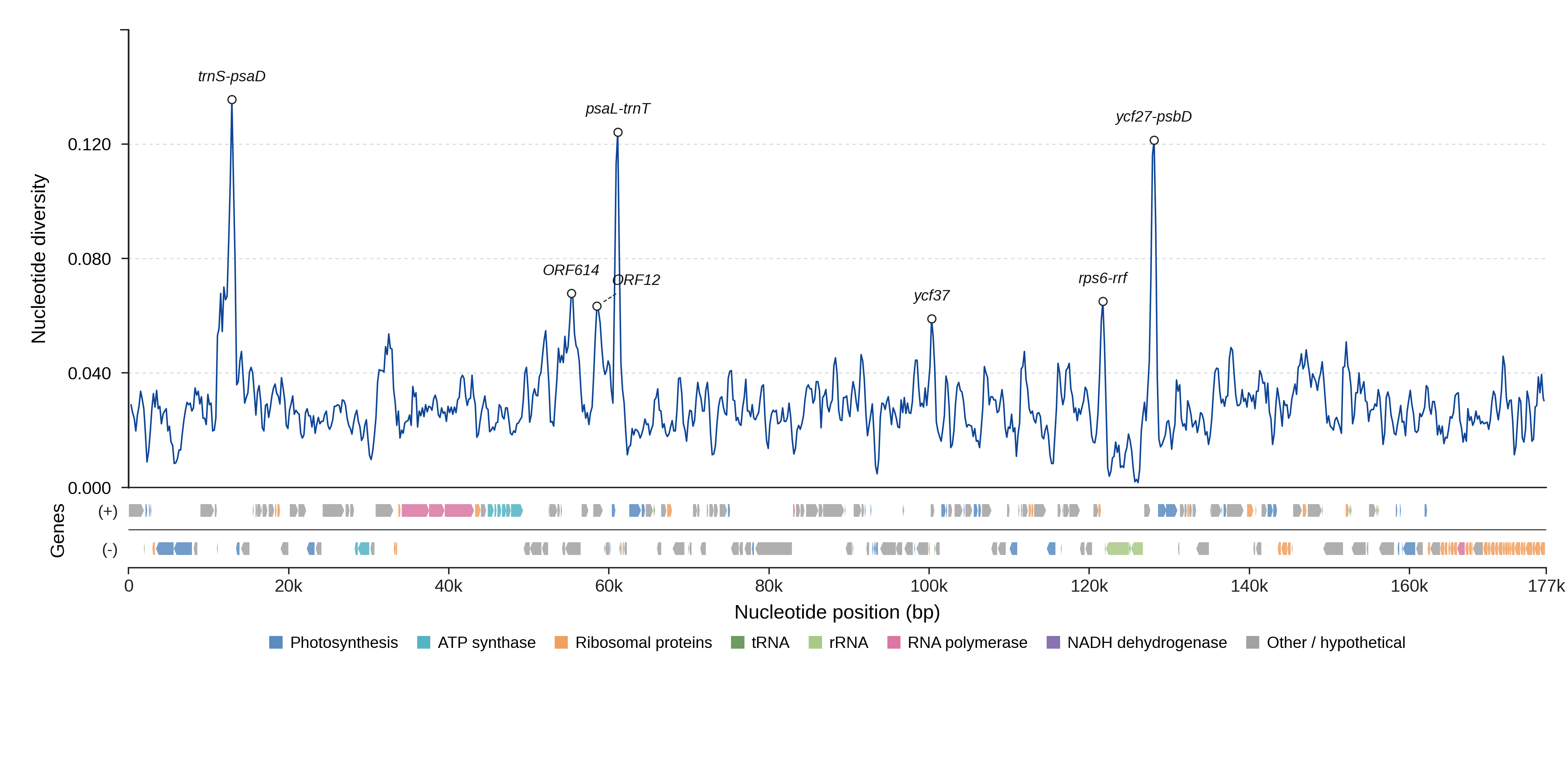 Sliding-window nucleotide diversity