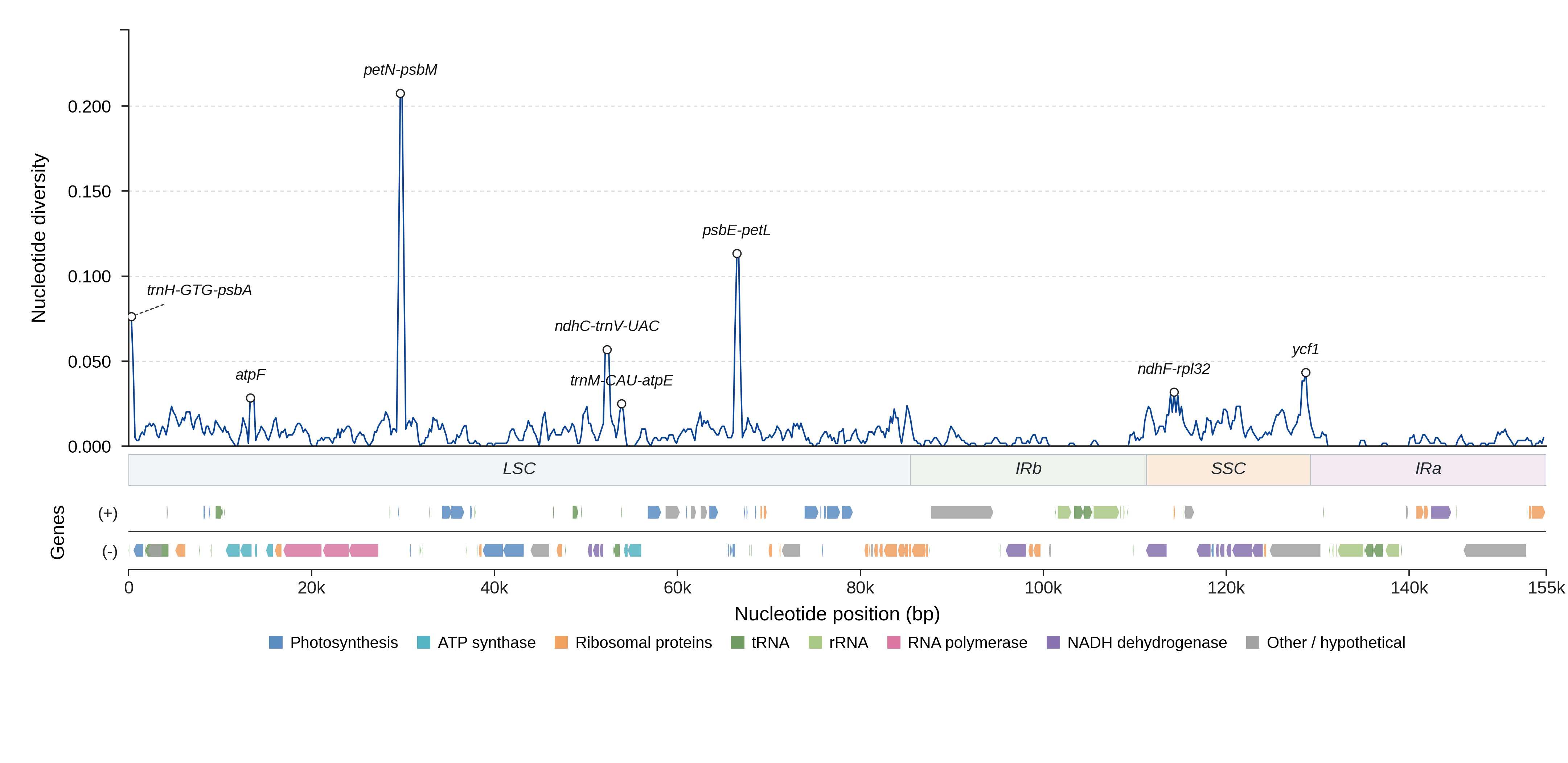 Sliding-window nucleotide diversity