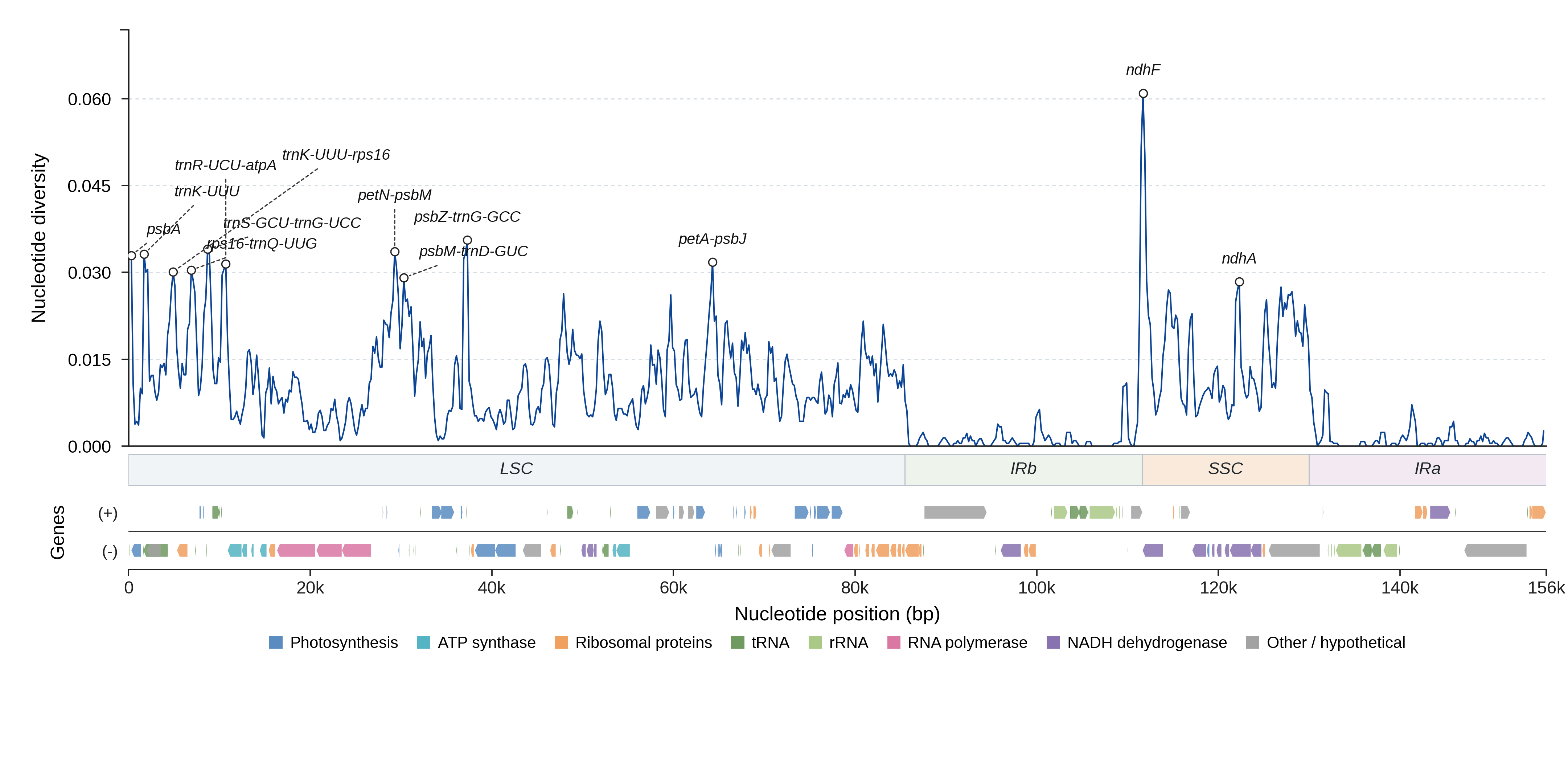 Sliding-window nucleotide diversity
