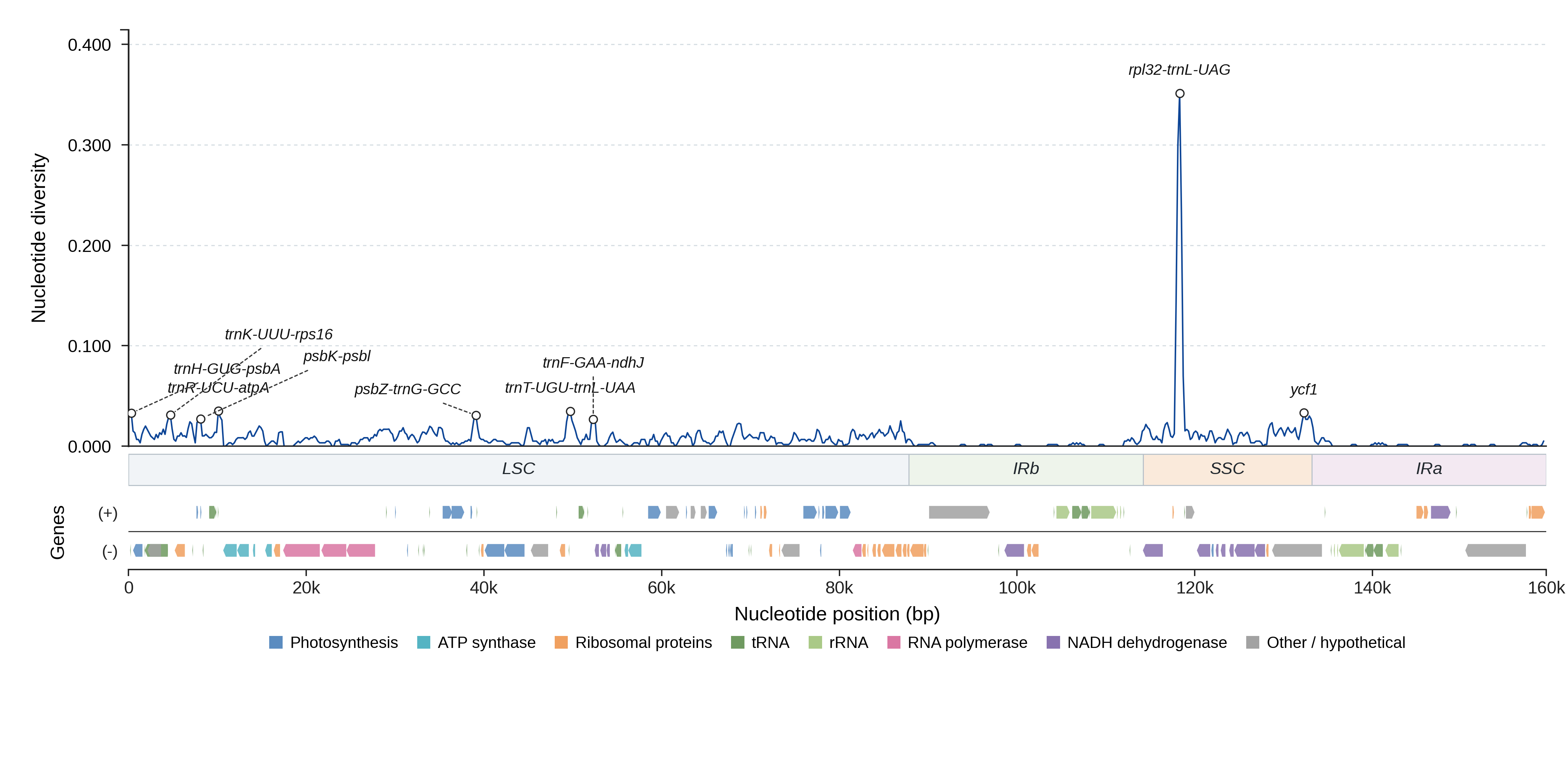 Sliding-window nucleotide diversity