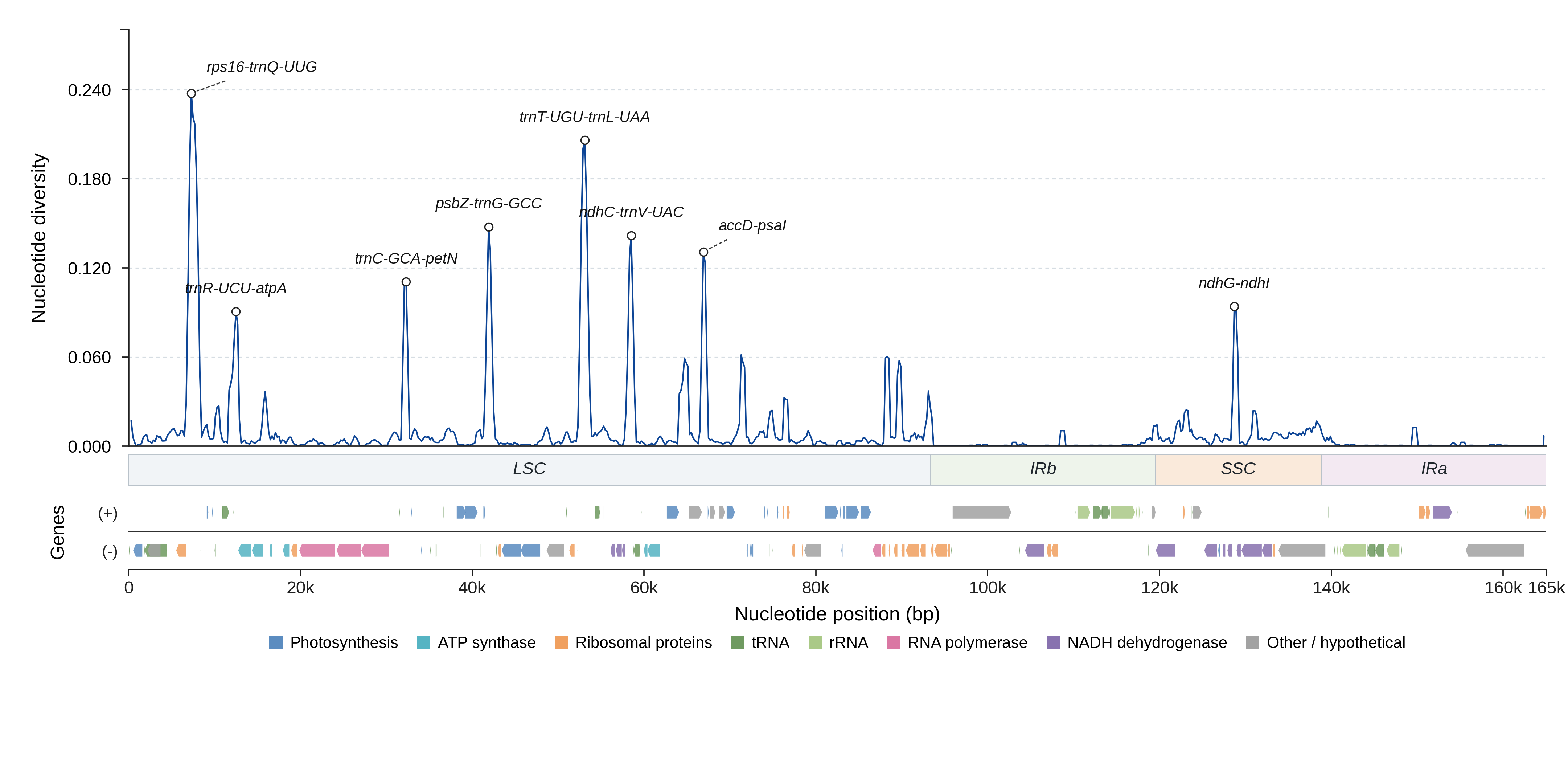 Sliding-window nucleotide diversity