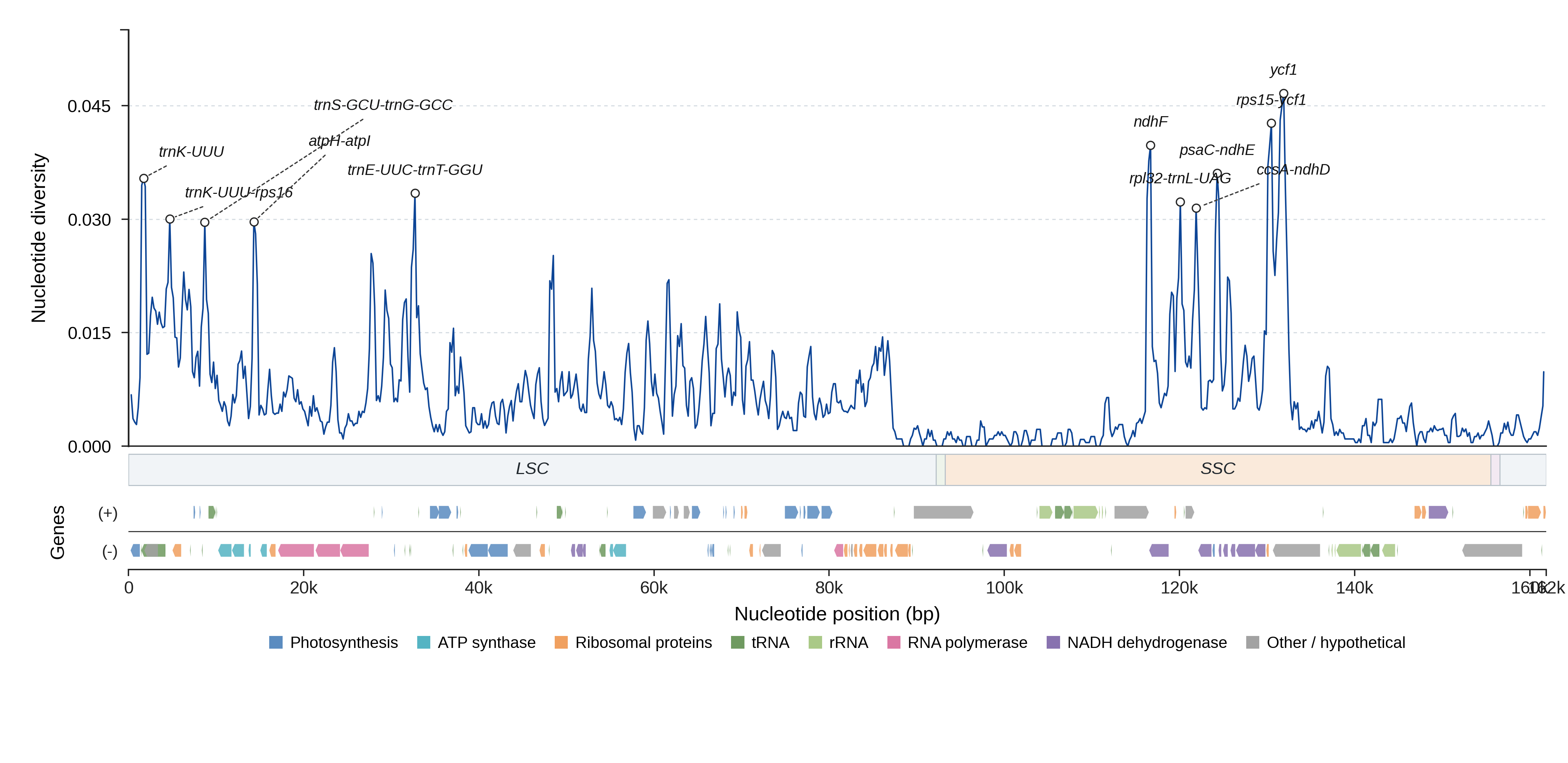 Sliding-window nucleotide diversity