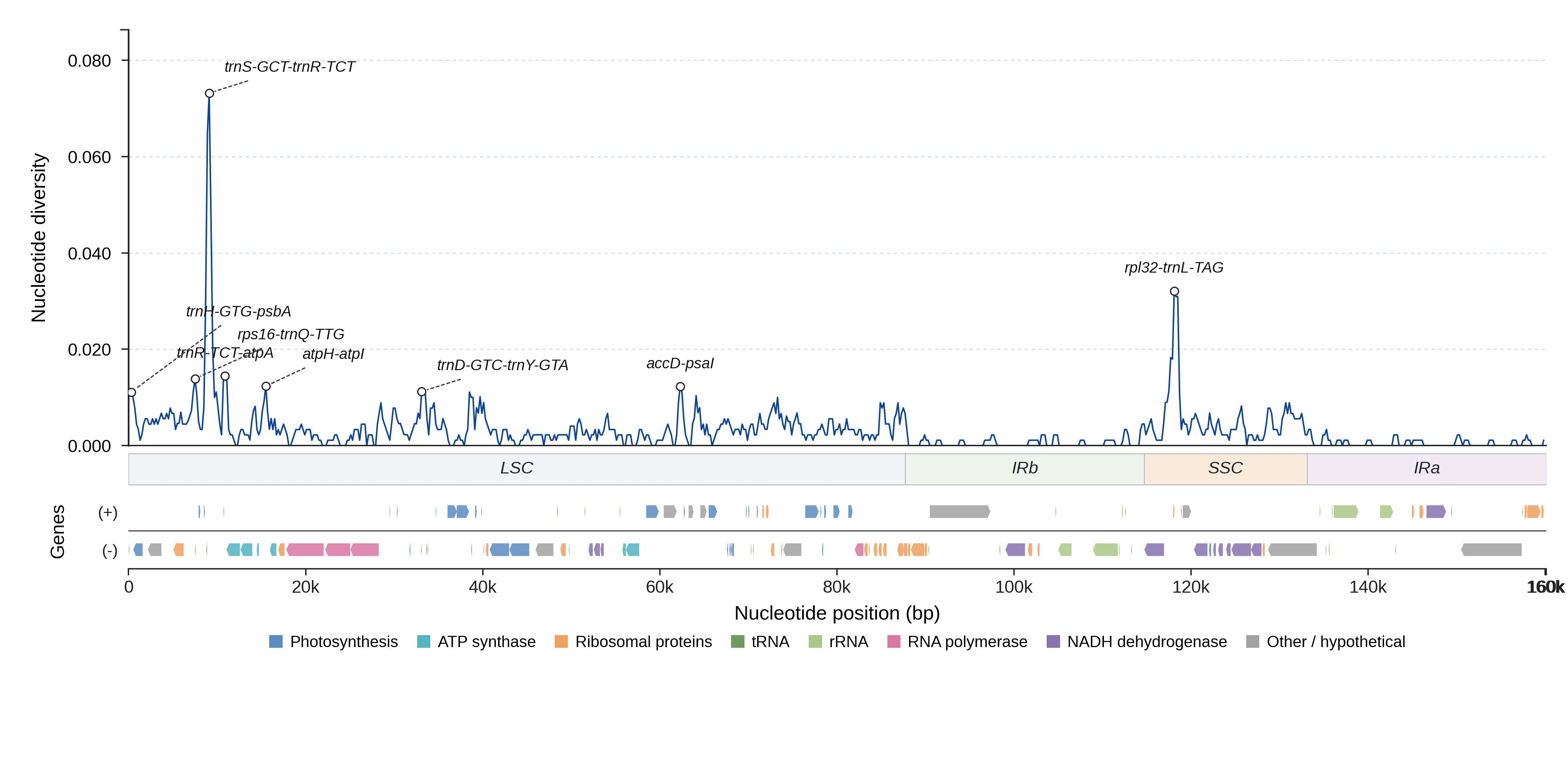 Sliding-window nucleotide diversity