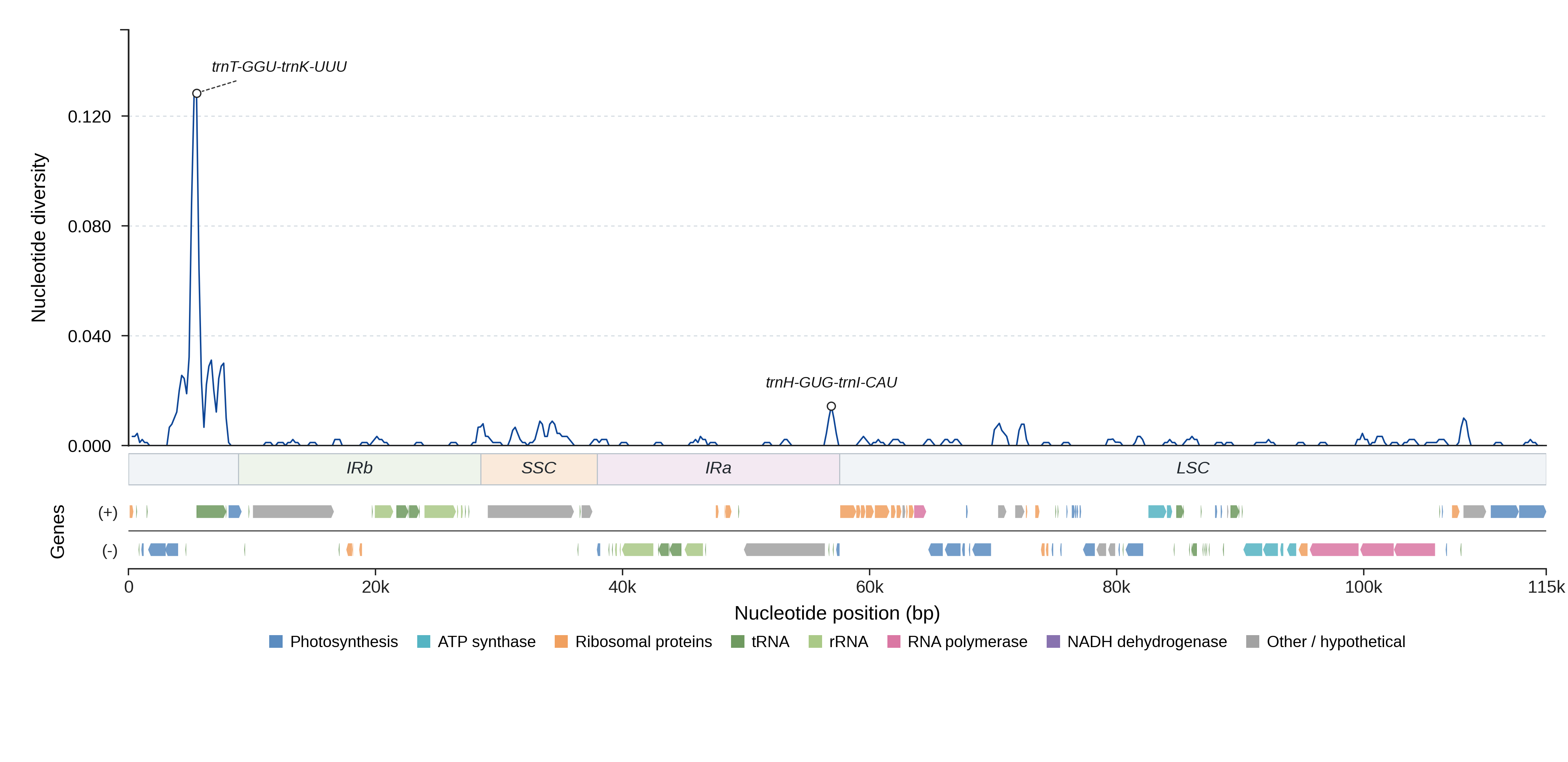 Sliding-window nucleotide diversity