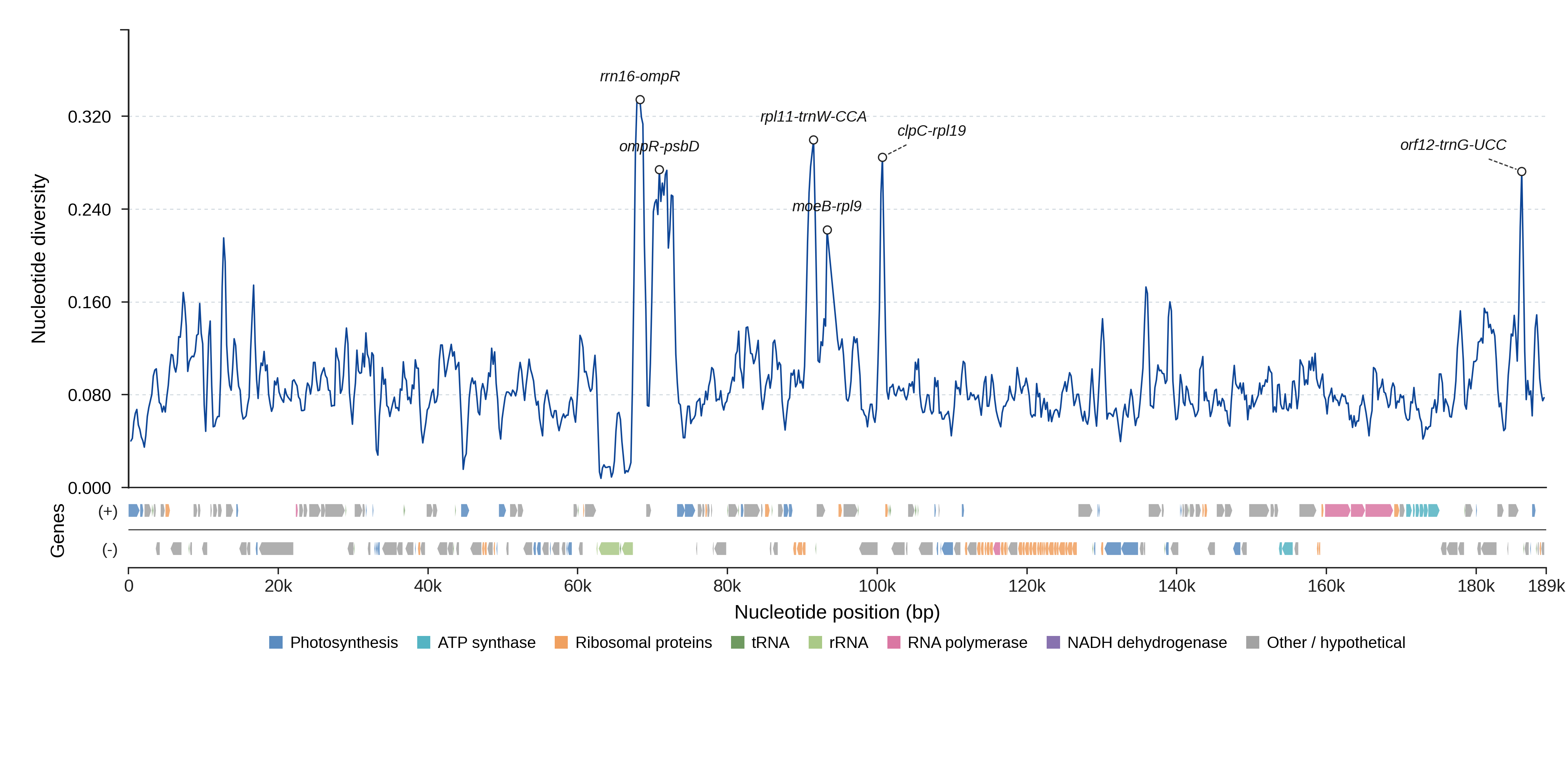 Sliding-window nucleotide diversity