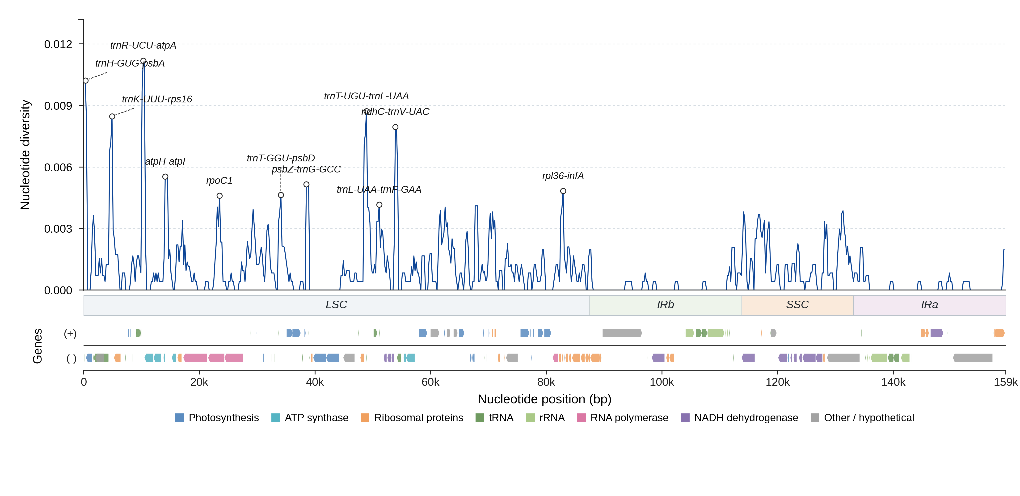 Sliding-window nucleotide diversity