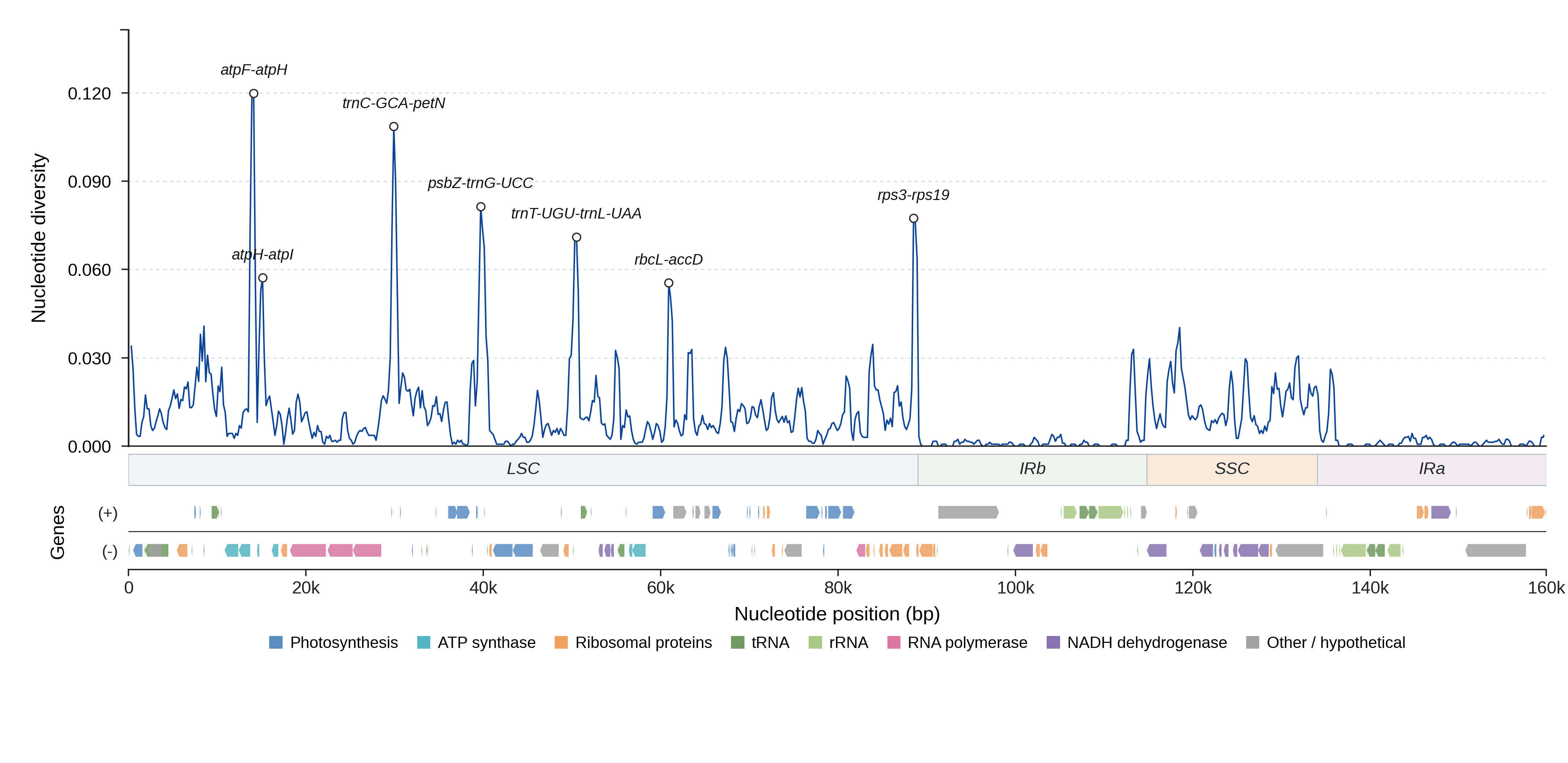 Sliding-window nucleotide diversity