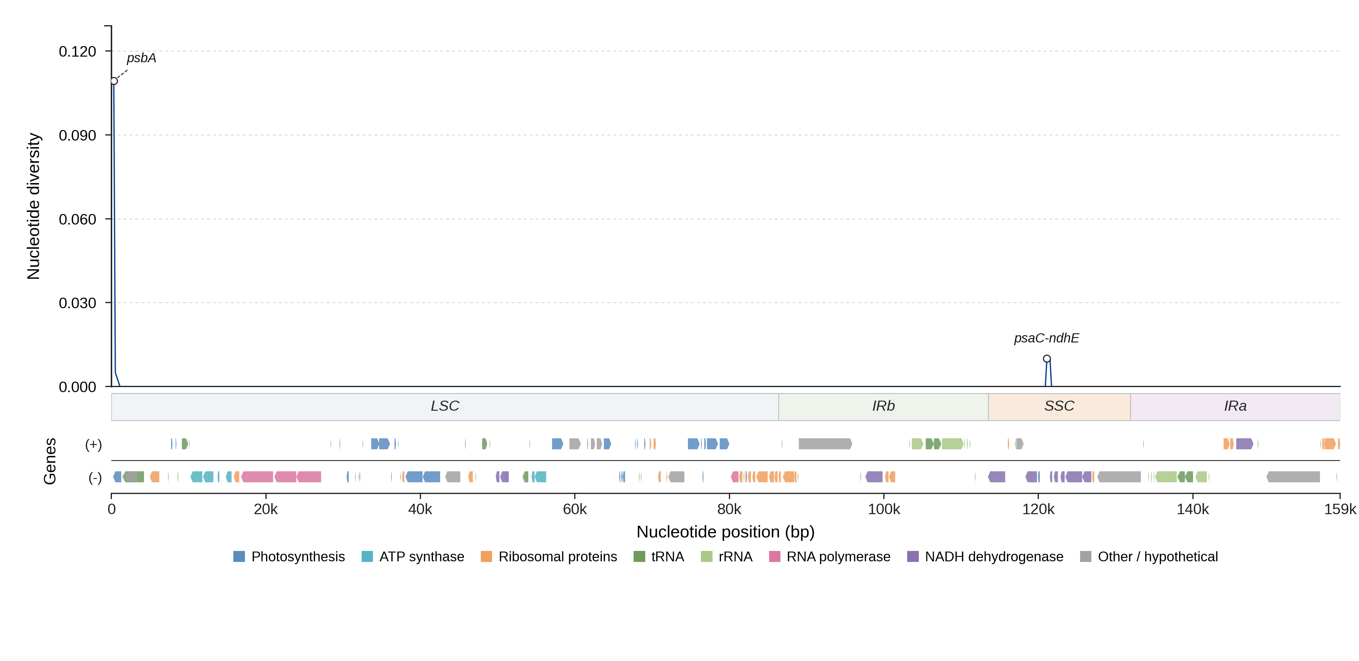 Sliding-window nucleotide diversity