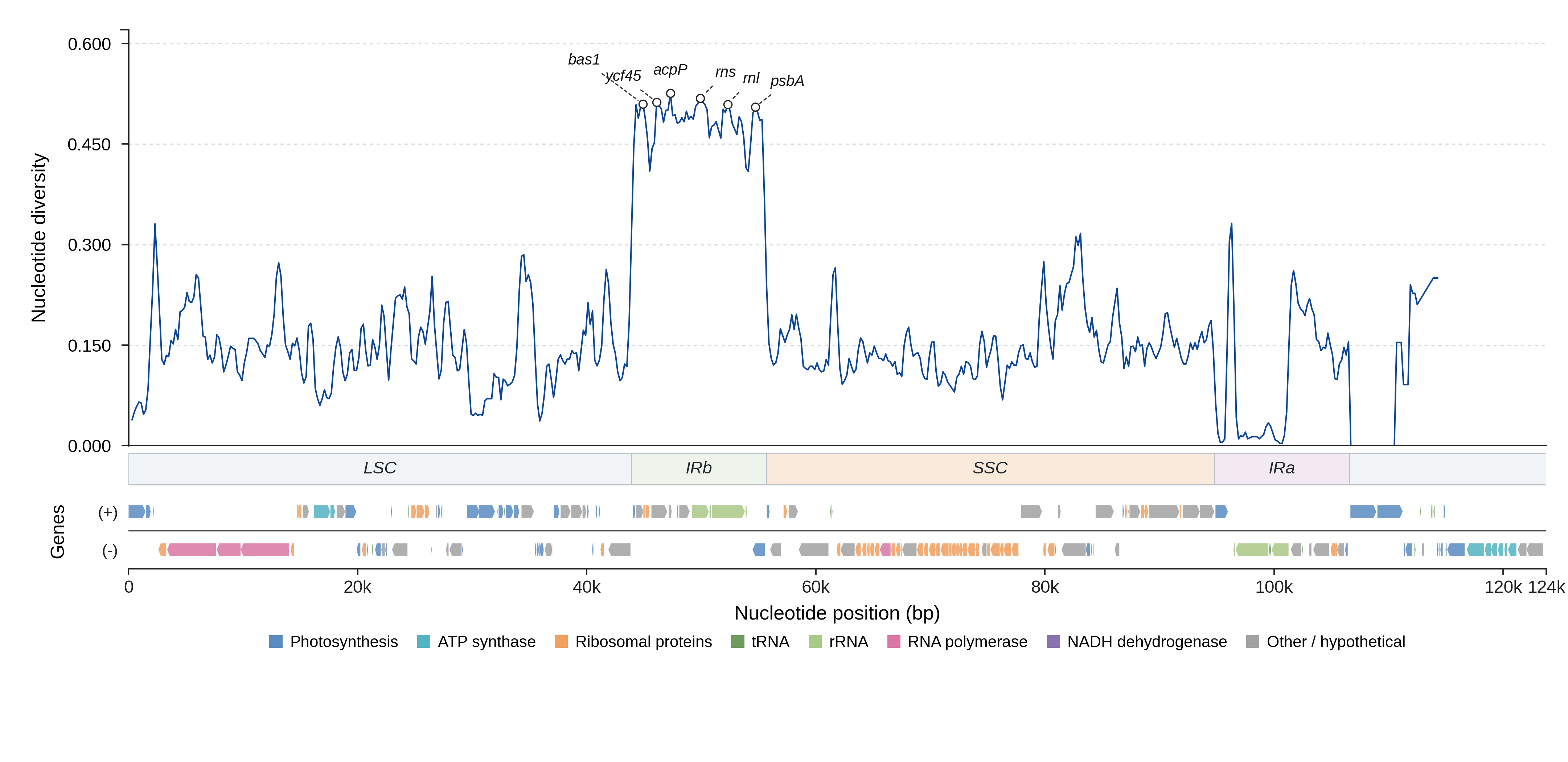 Sliding-window nucleotide diversity