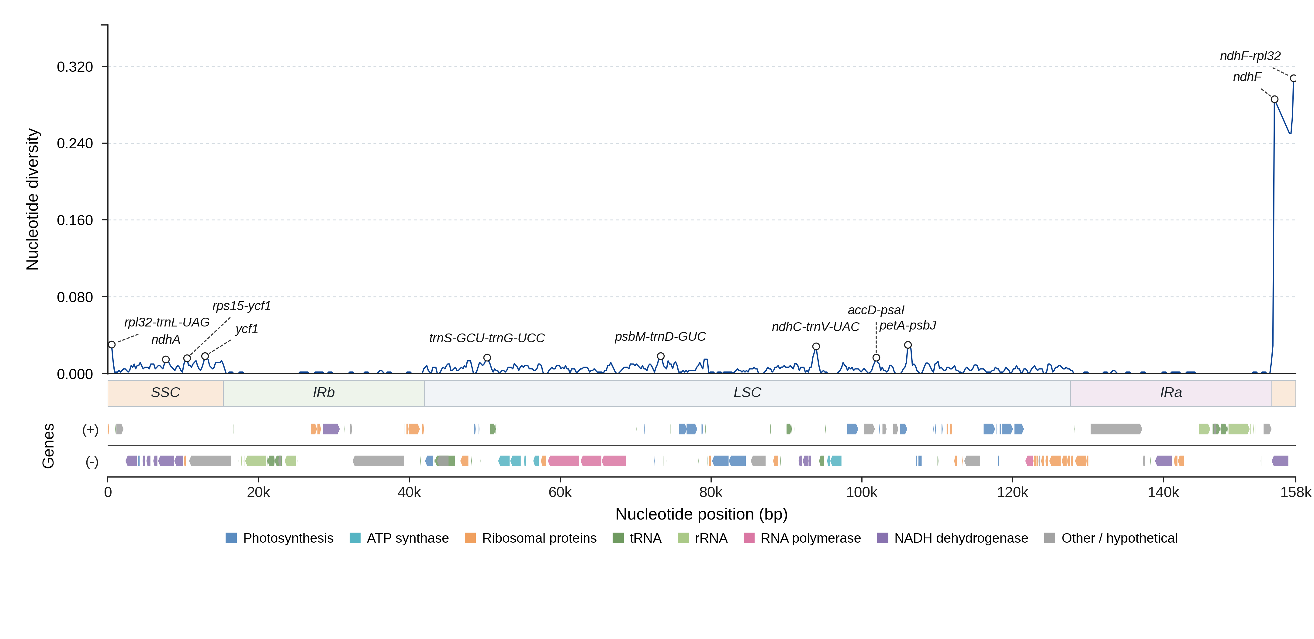 Sliding-window nucleotide diversity
