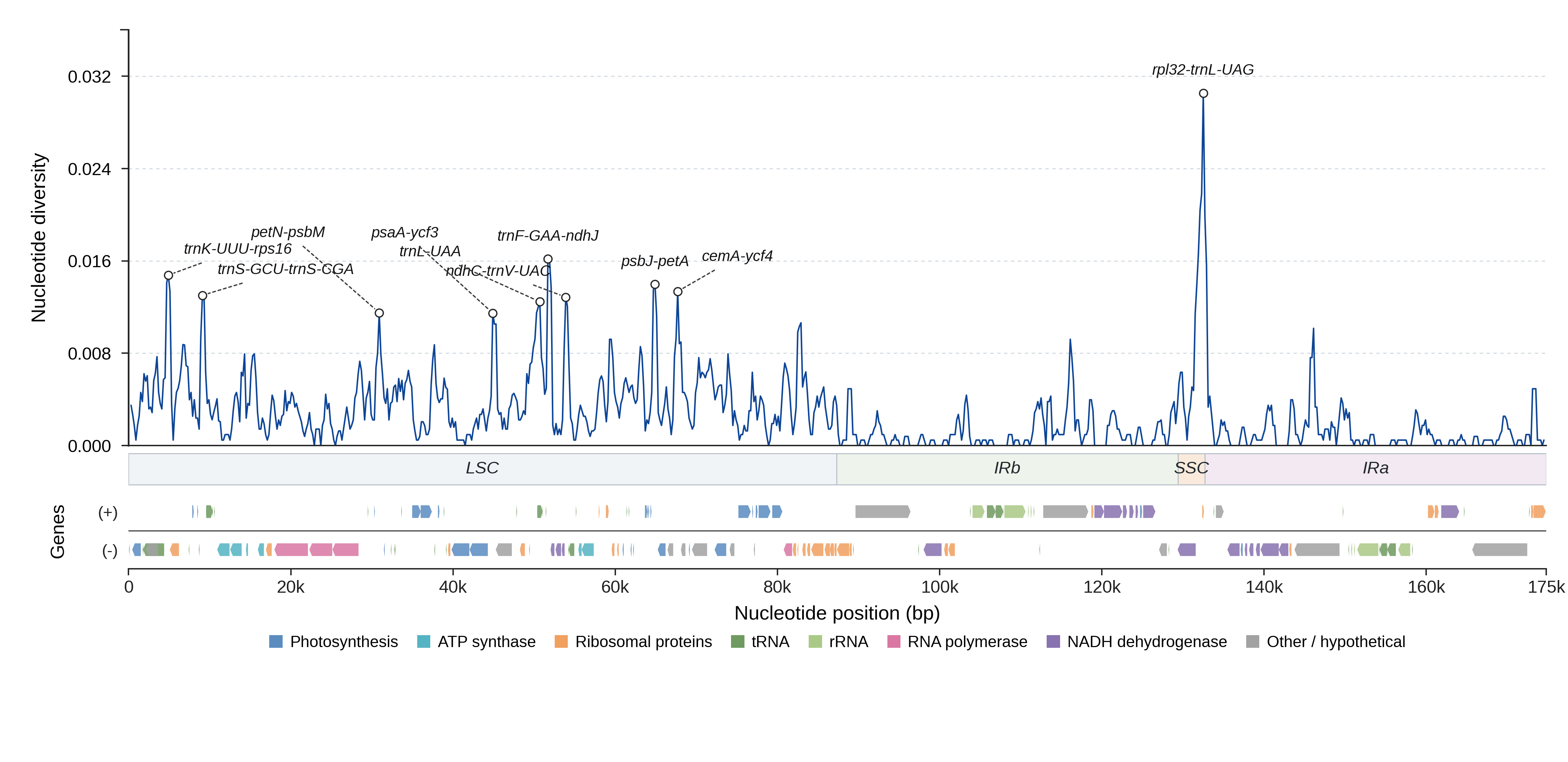 Sliding-window nucleotide diversity