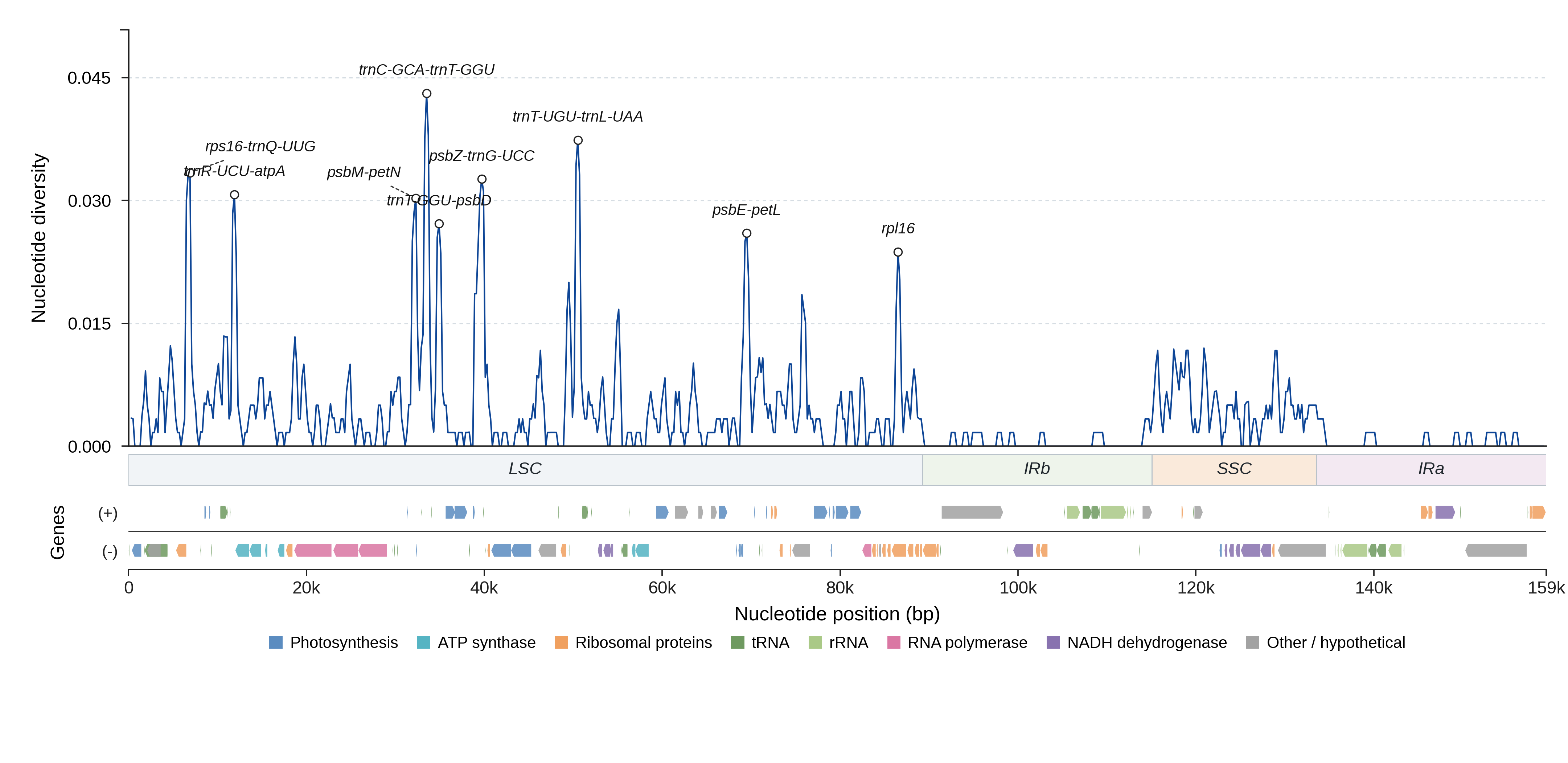 Sliding-window nucleotide diversity