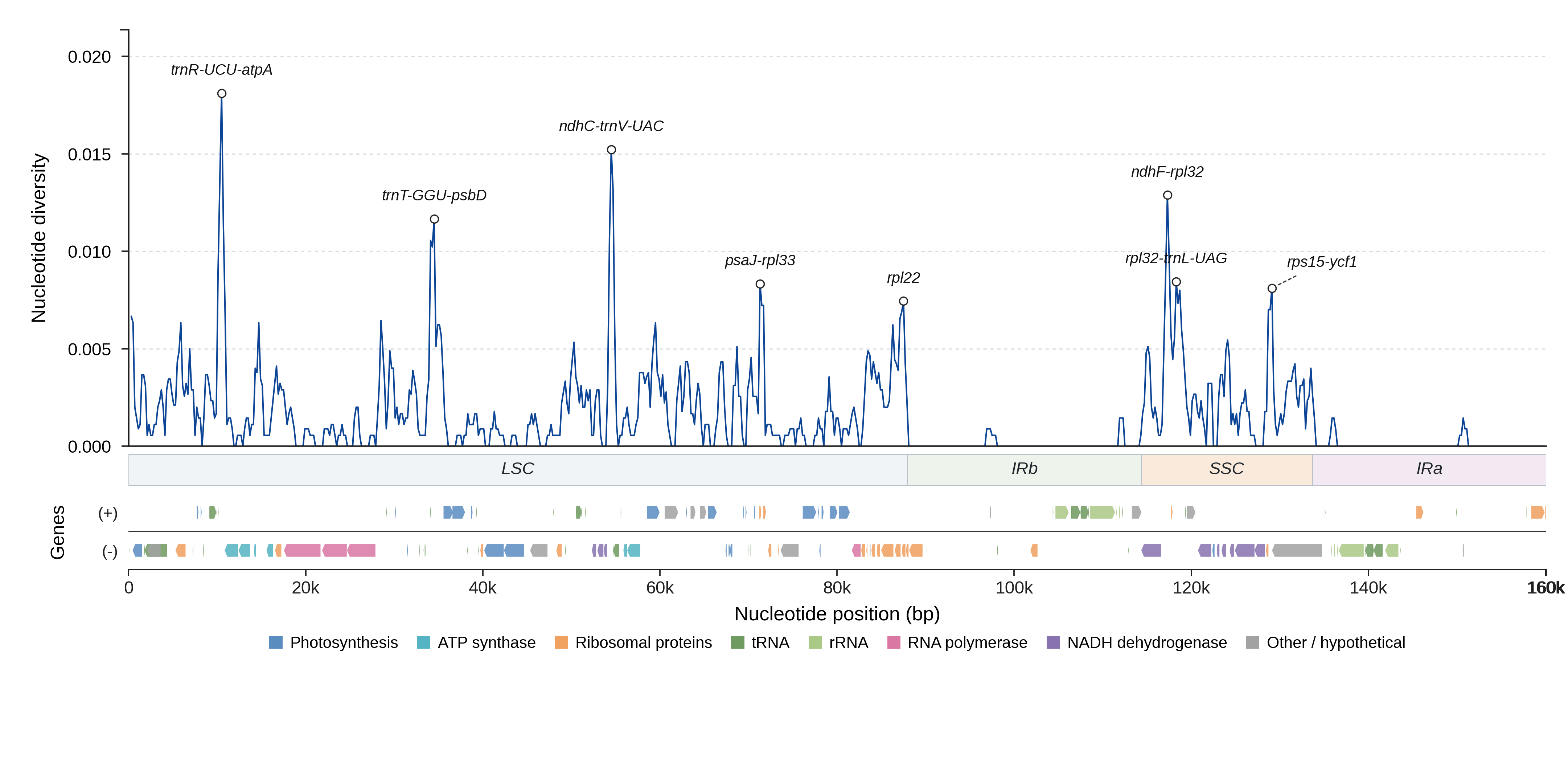 Sliding-window nucleotide diversity