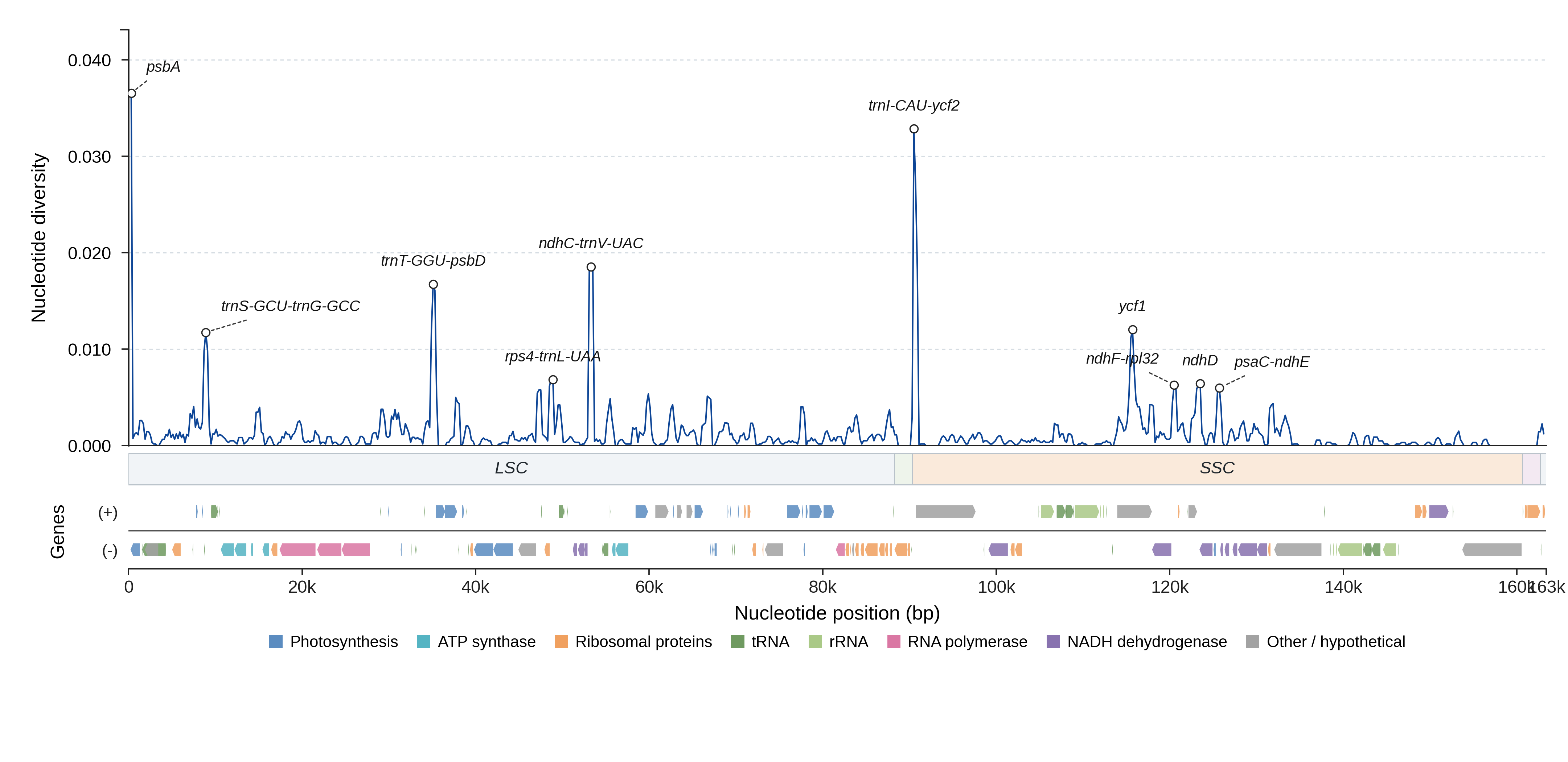 Sliding-window nucleotide diversity