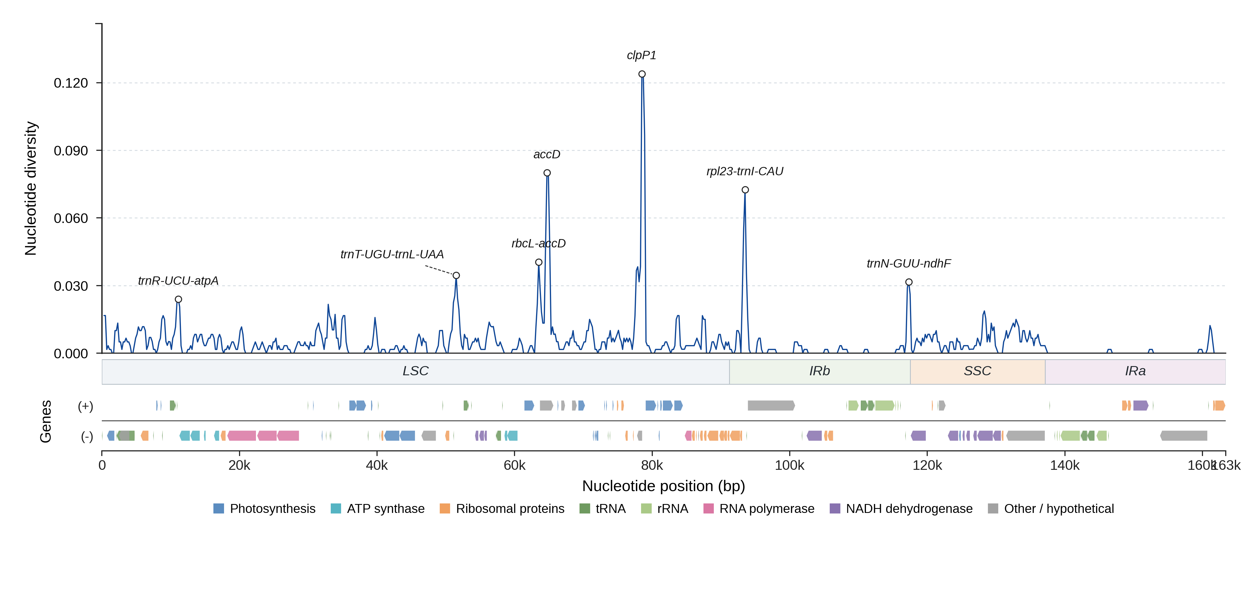 Sliding-window nucleotide diversity