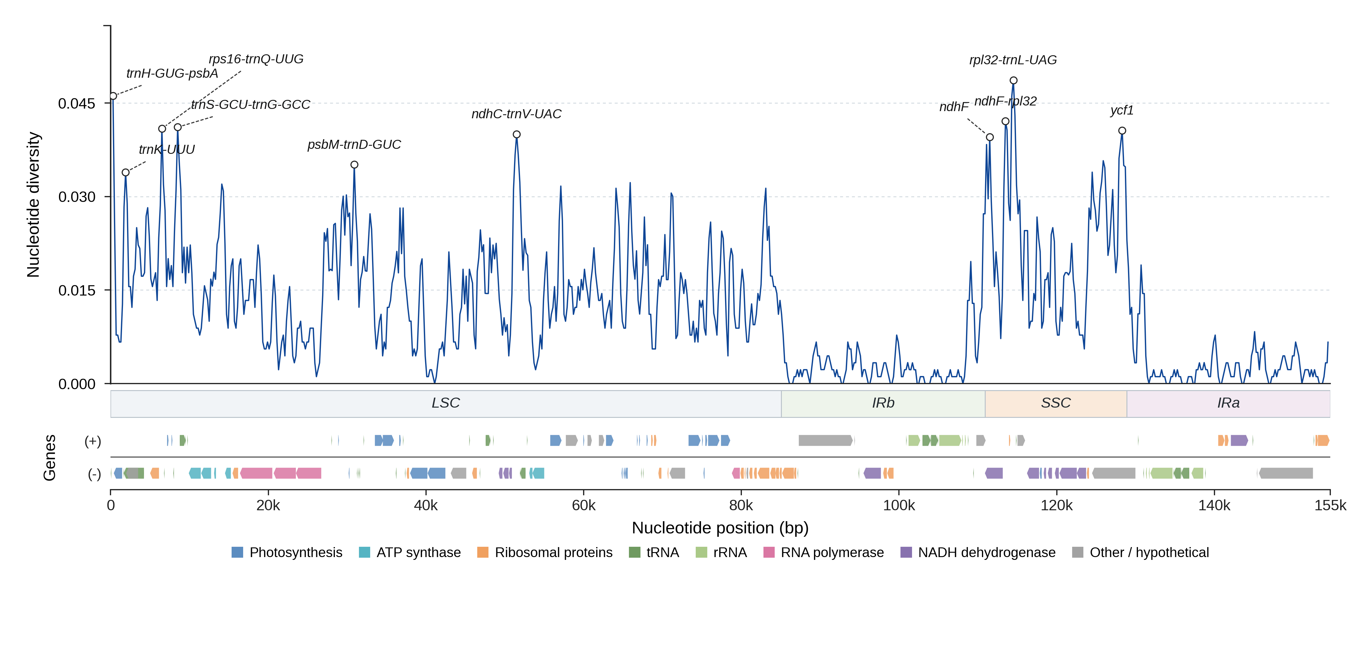 Sliding-window nucleotide diversity