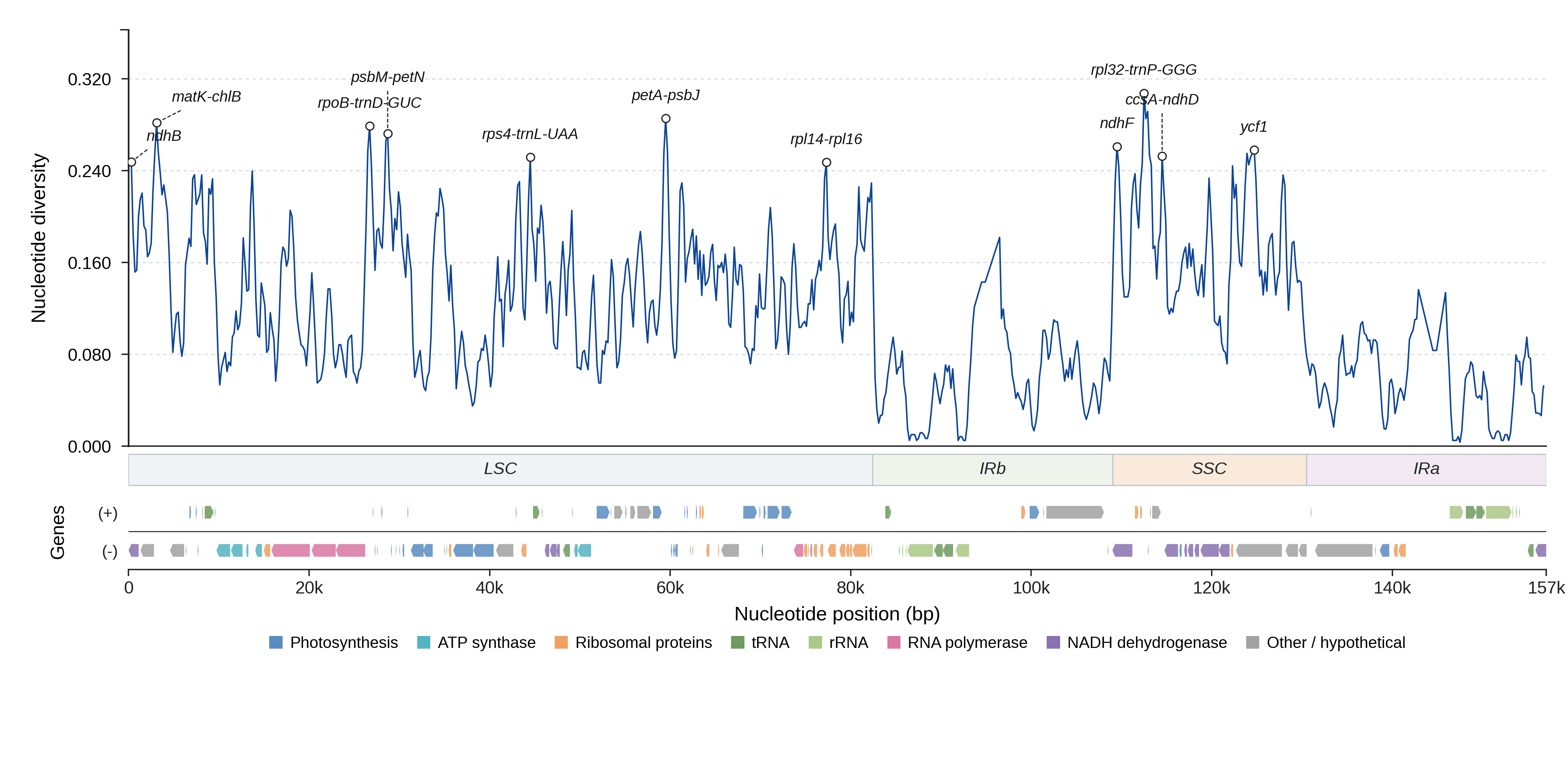 Sliding-window nucleotide diversity