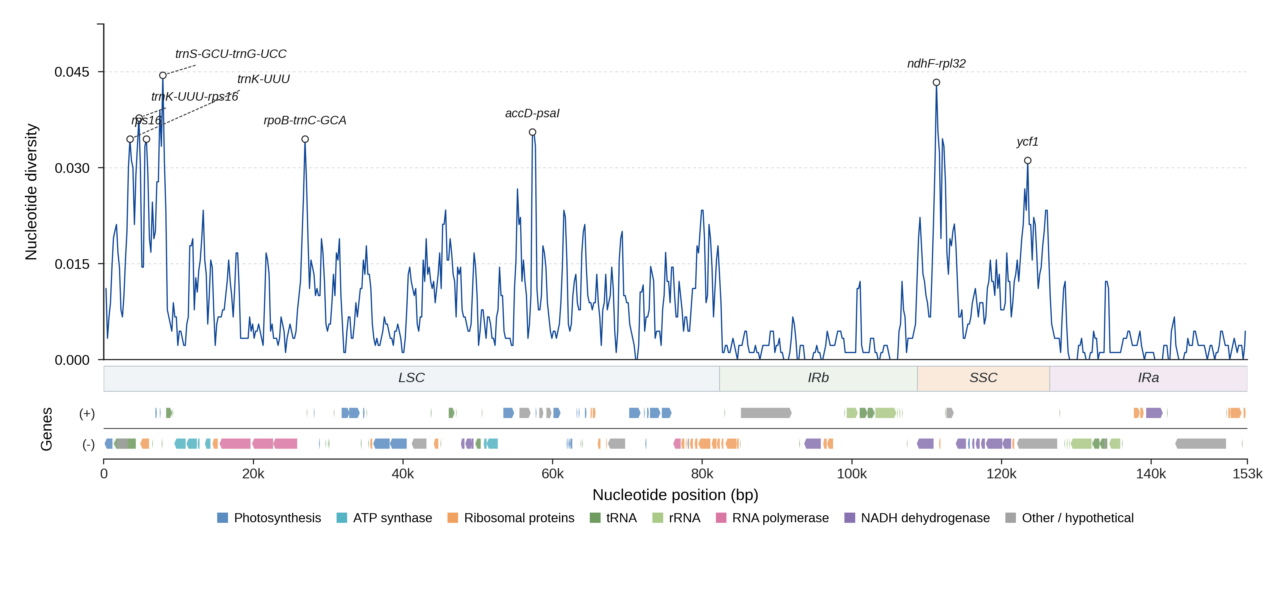 Sliding-window nucleotide diversity