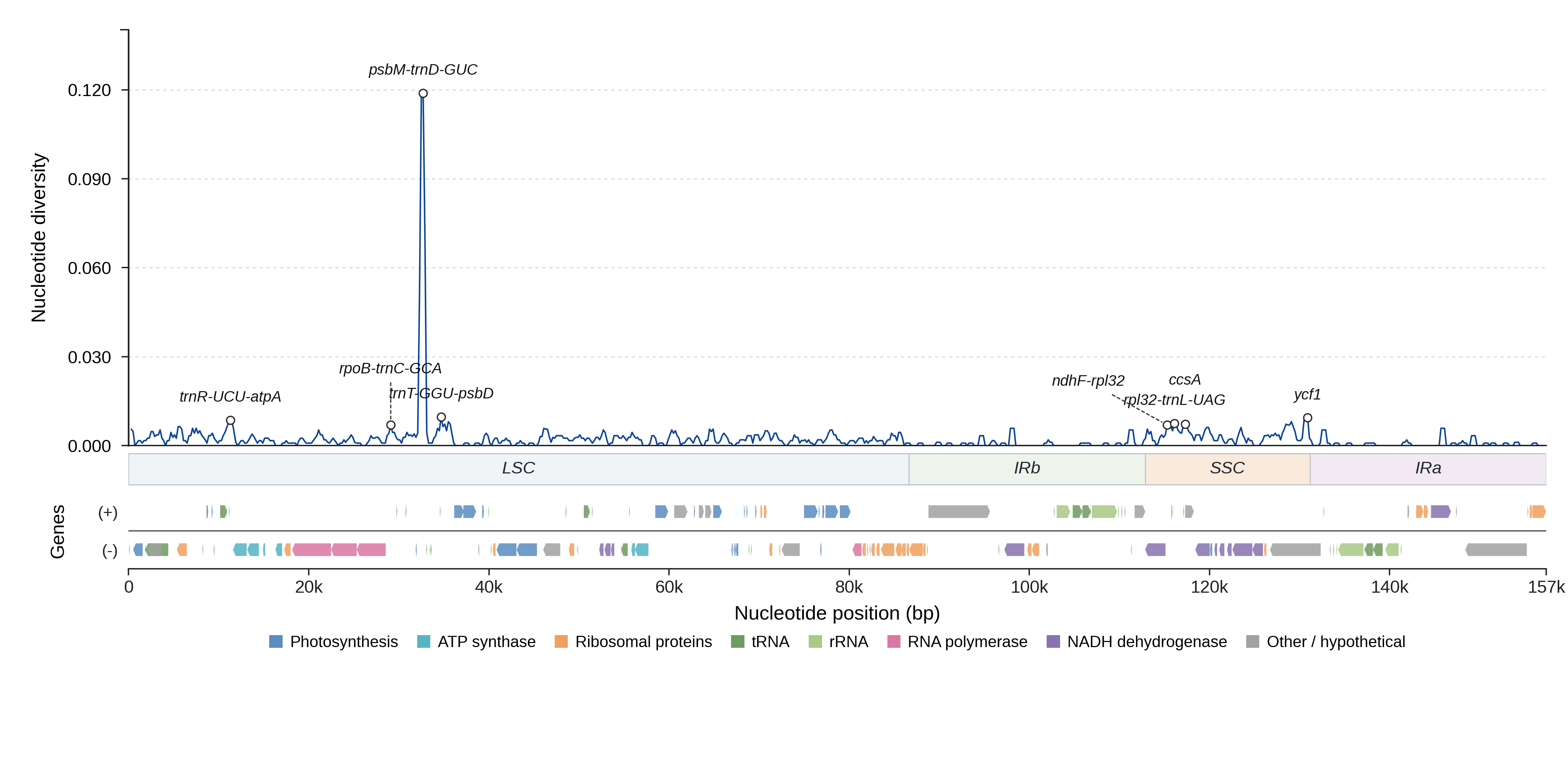 Sliding-window nucleotide diversity