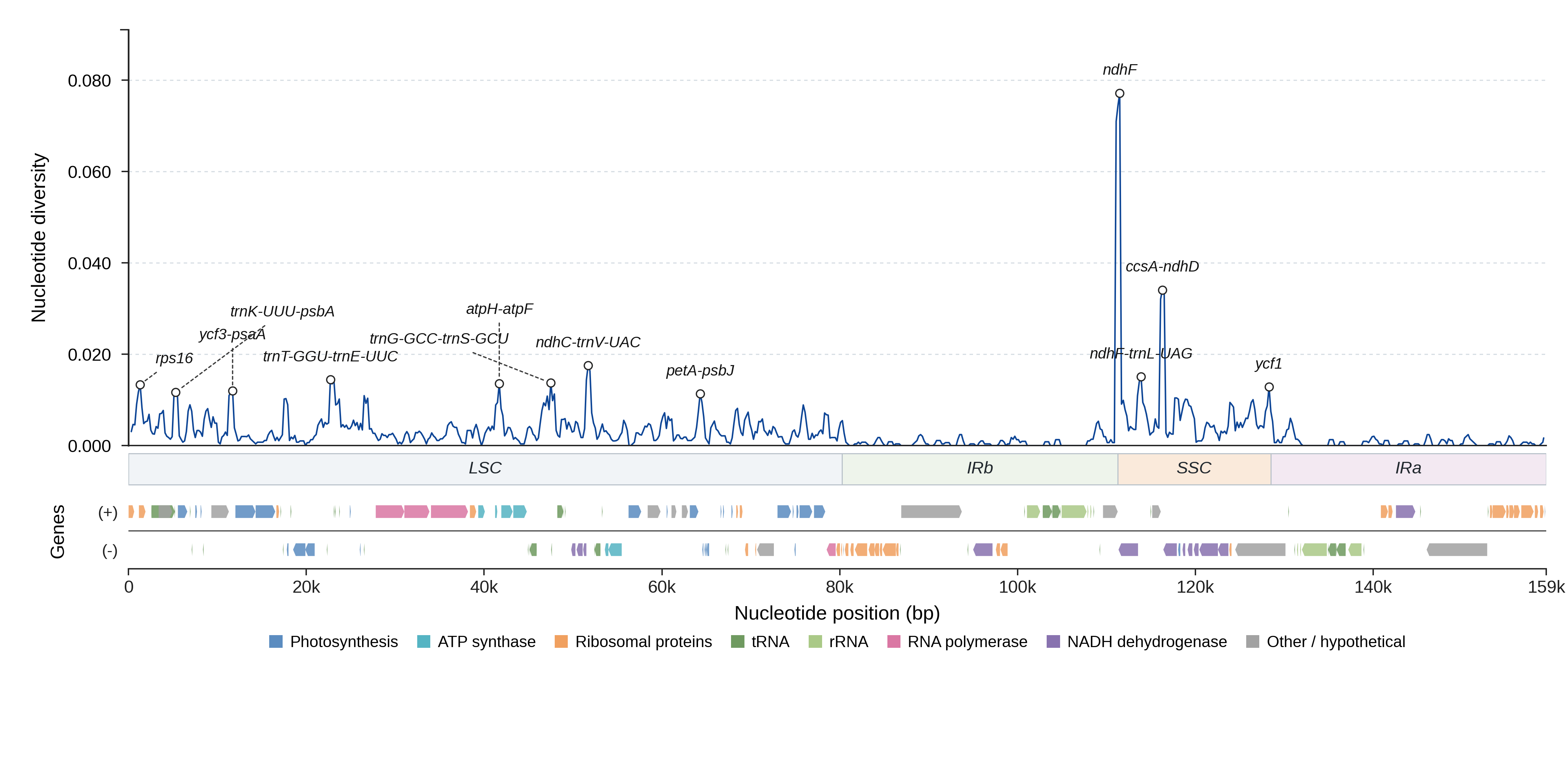Sliding-window nucleotide diversity