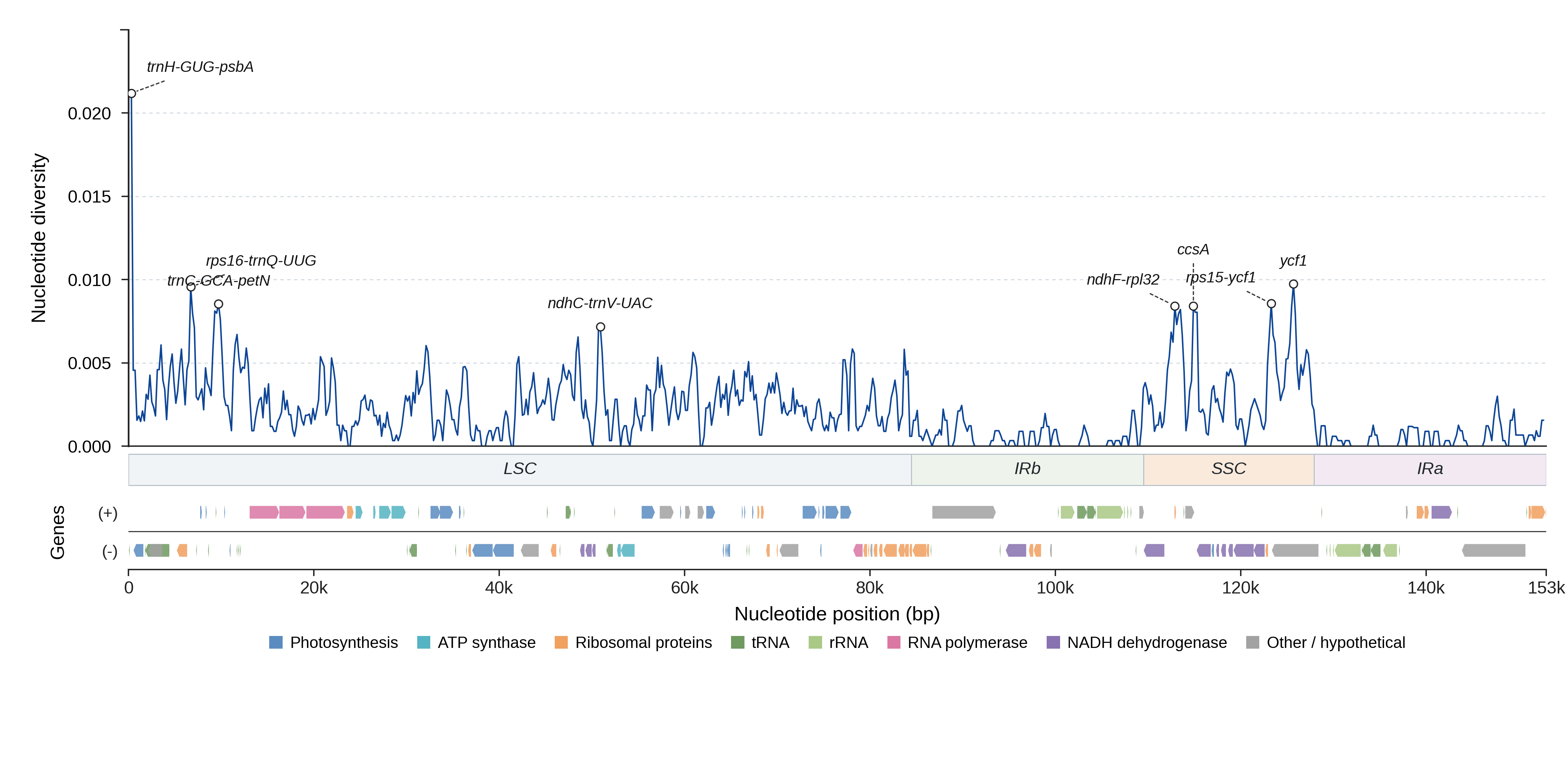 Sliding-window nucleotide diversity