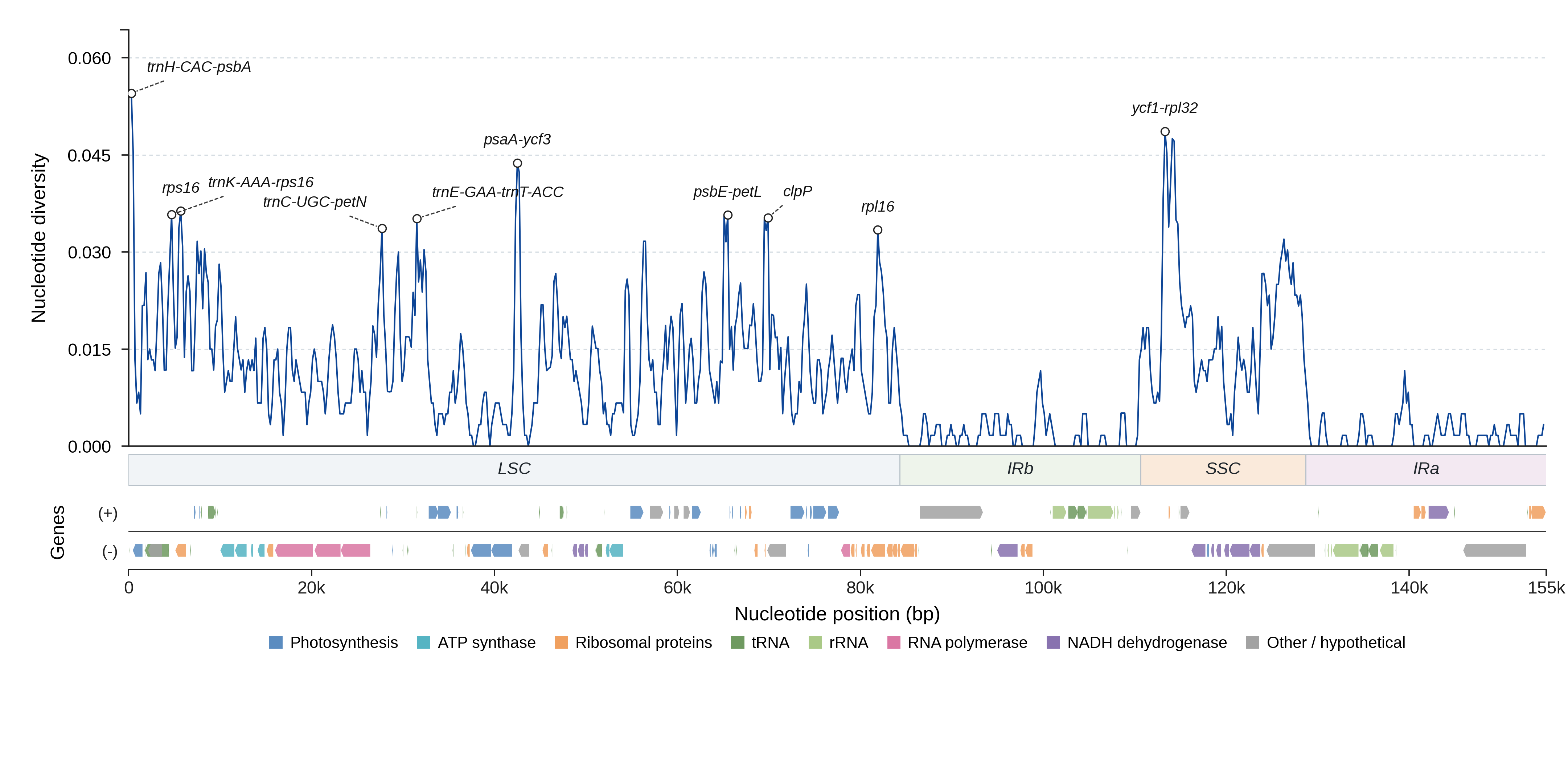 Sliding-window nucleotide diversity