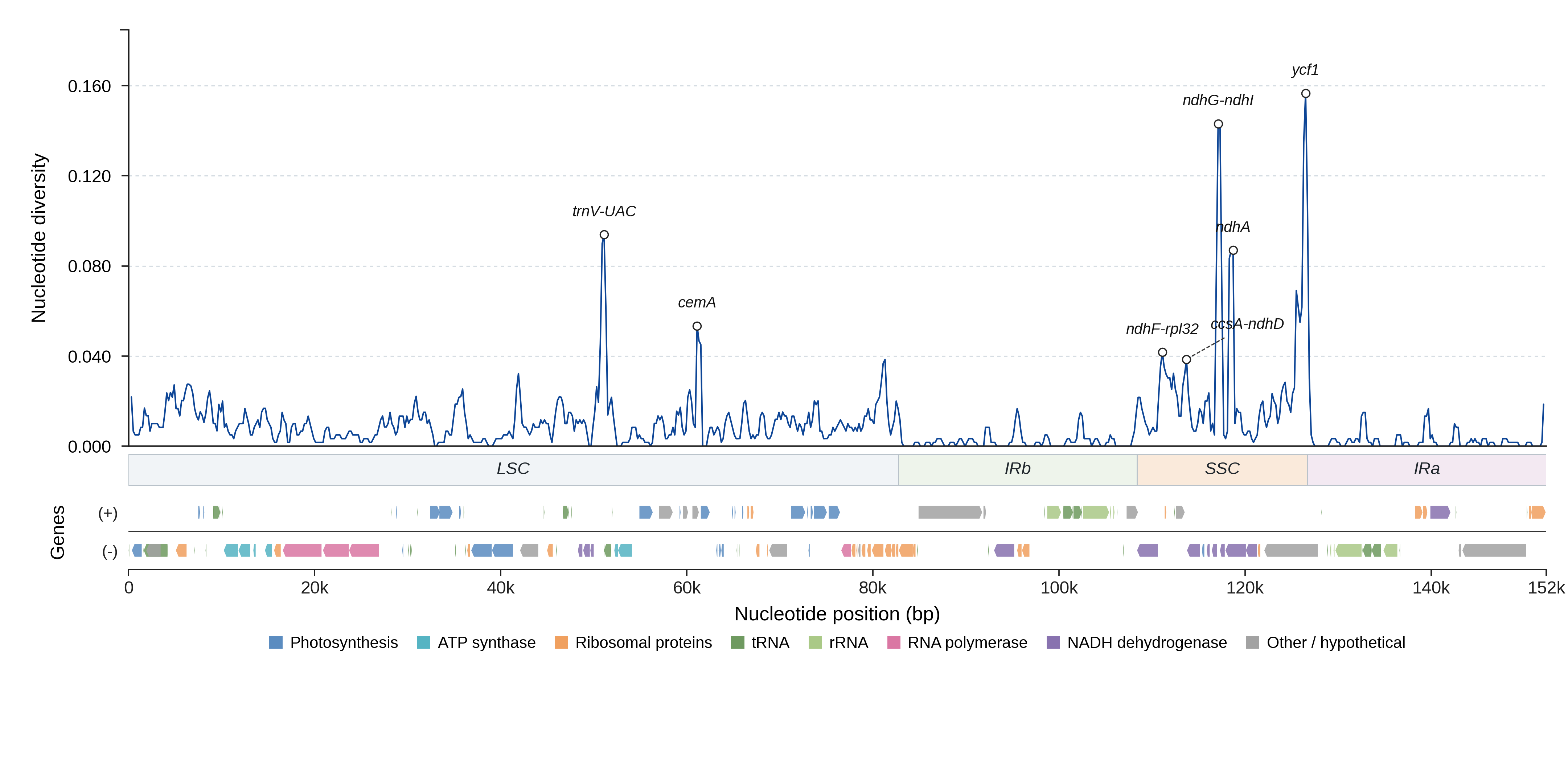 Sliding-window nucleotide diversity