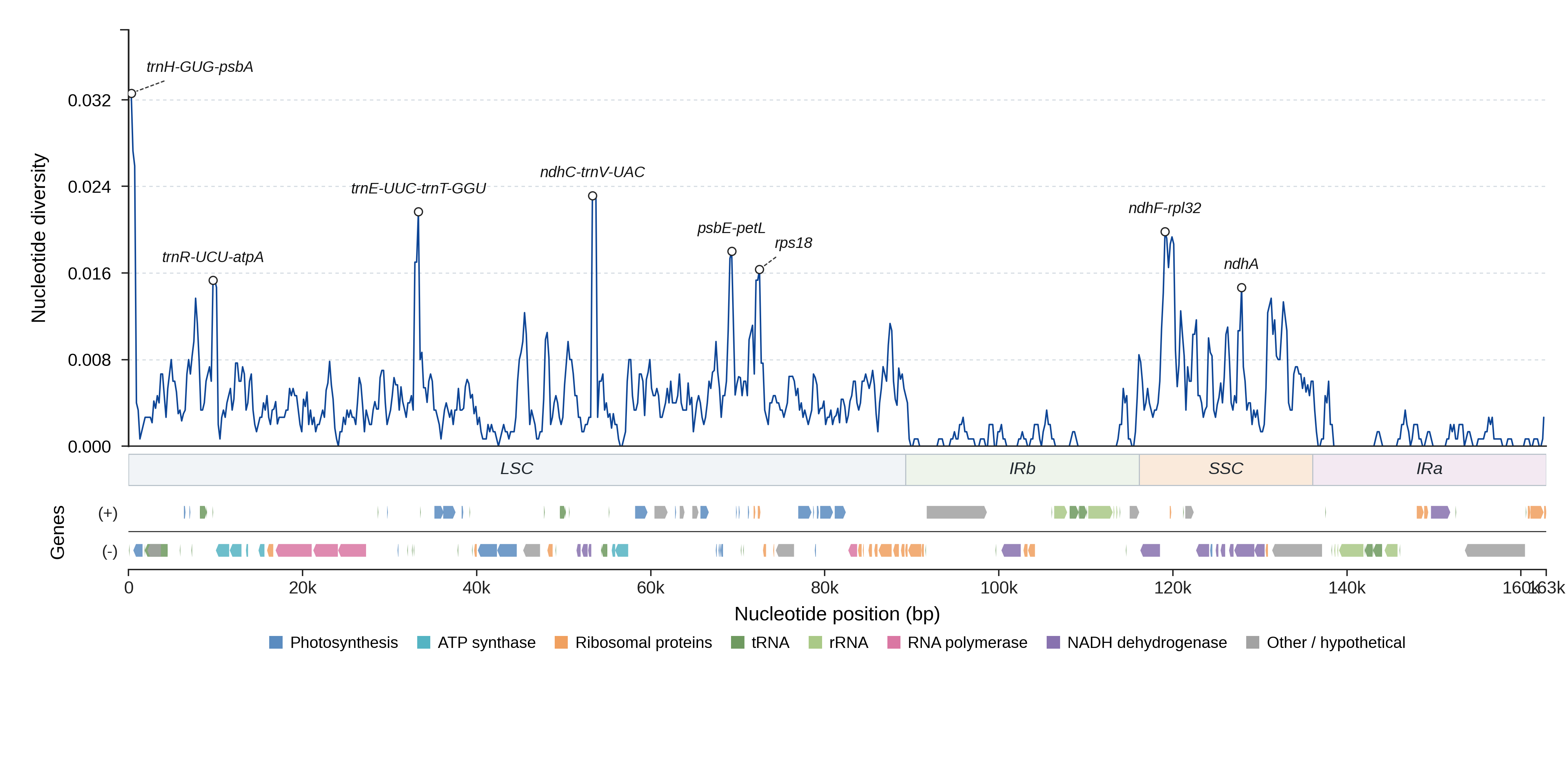 Sliding-window nucleotide diversity