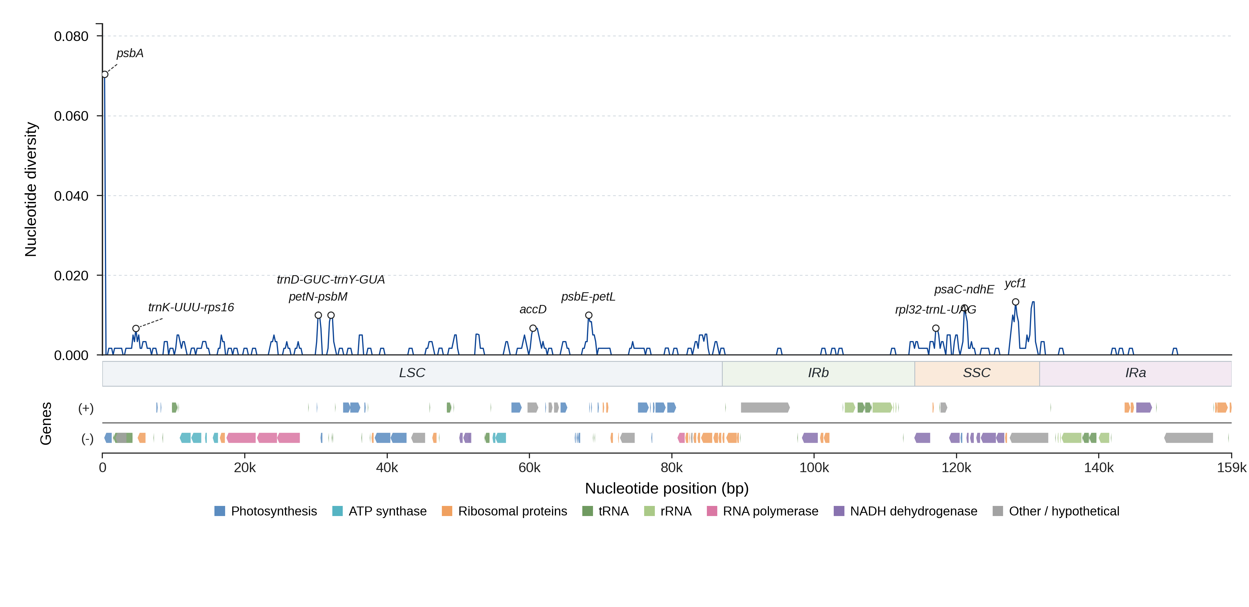 Sliding-window nucleotide diversity