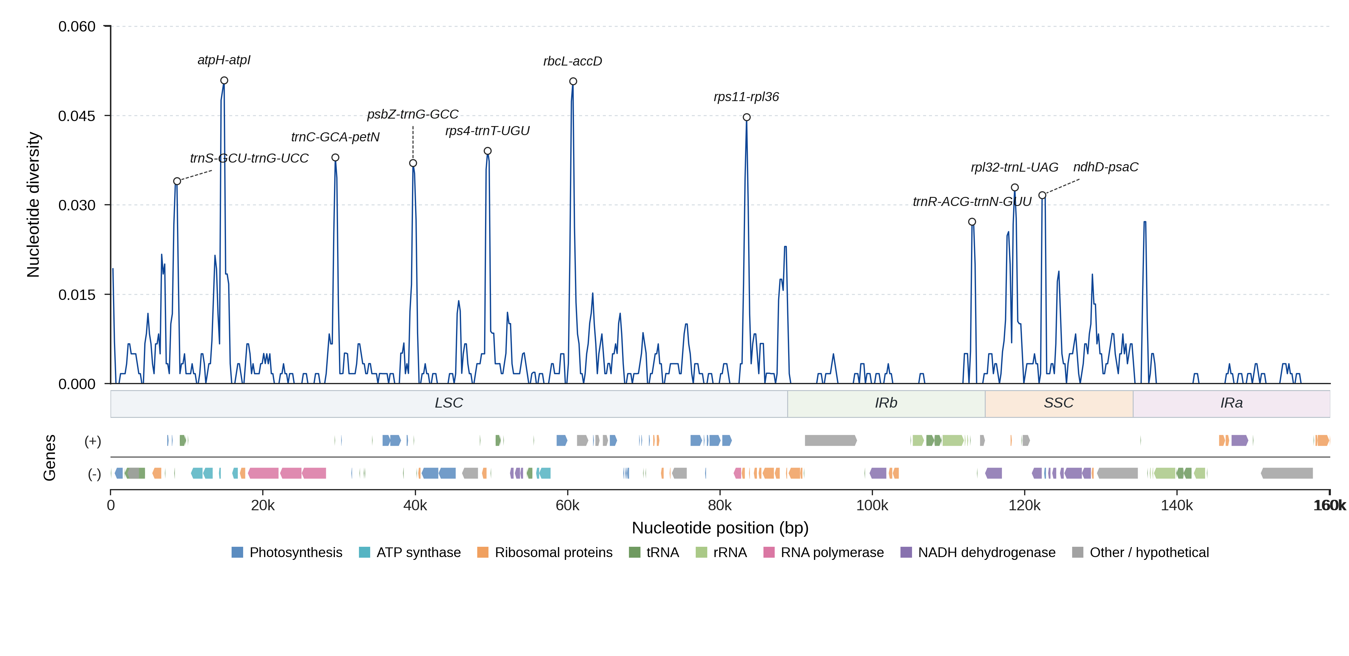 Sliding-window nucleotide diversity