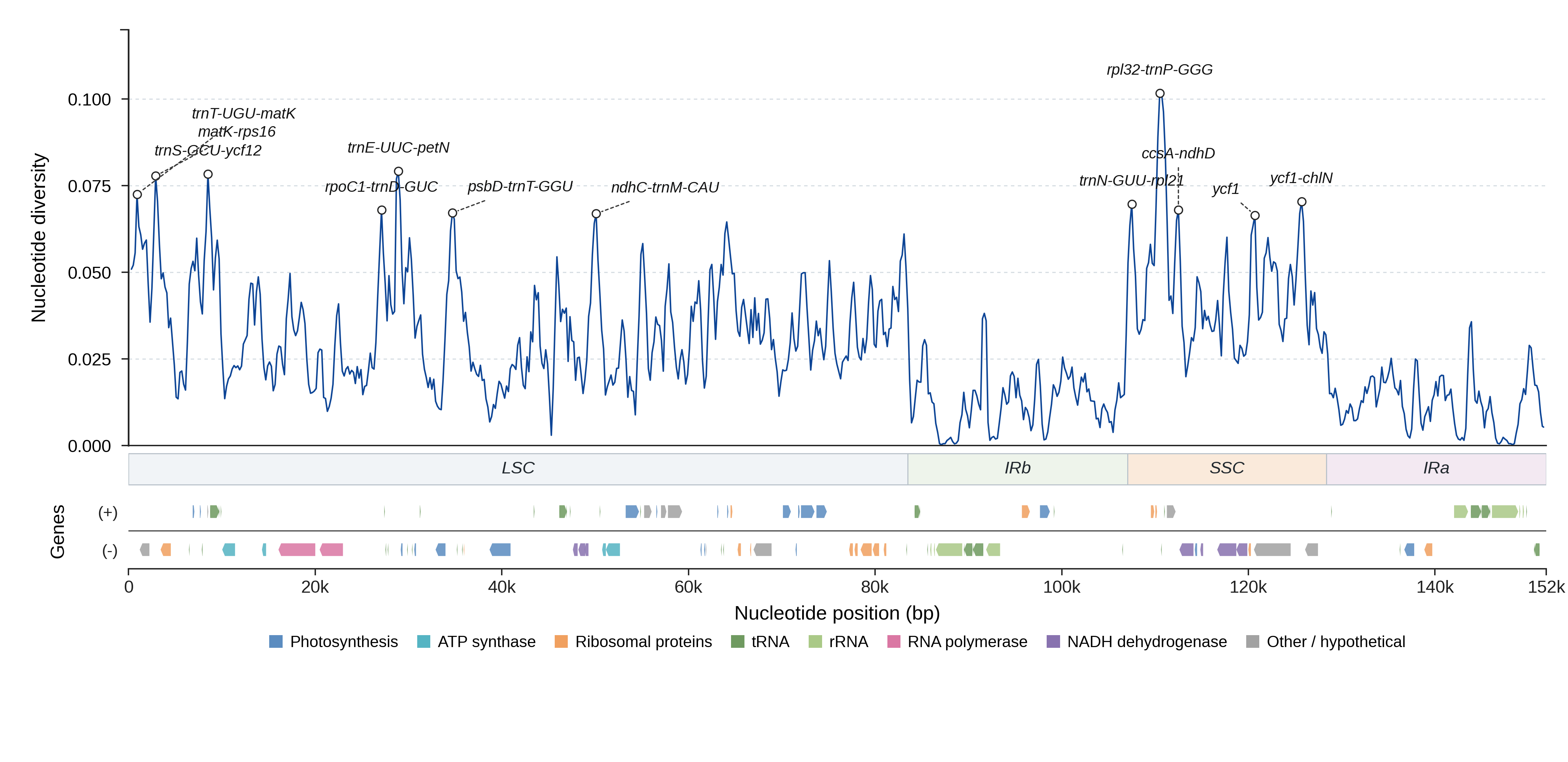 Sliding-window nucleotide diversity