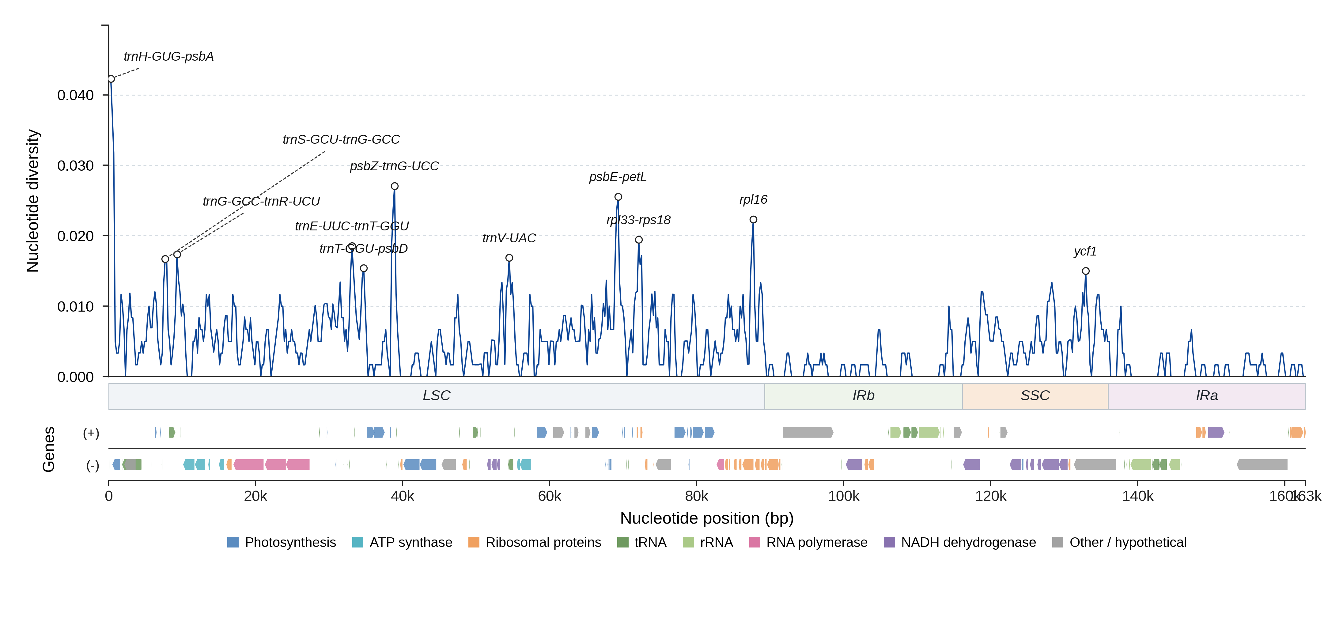 Sliding-window nucleotide diversity