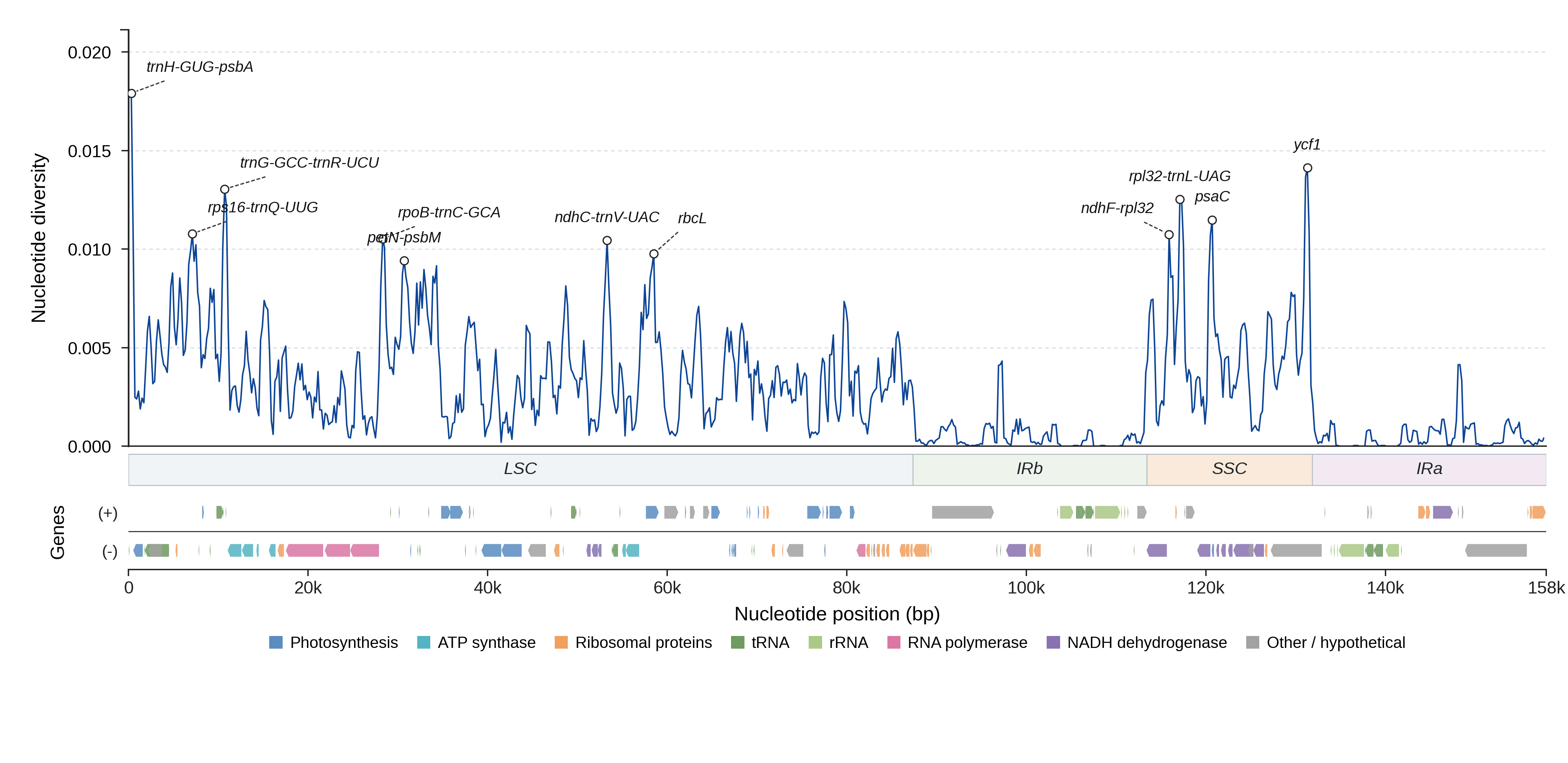 Sliding-window nucleotide diversity