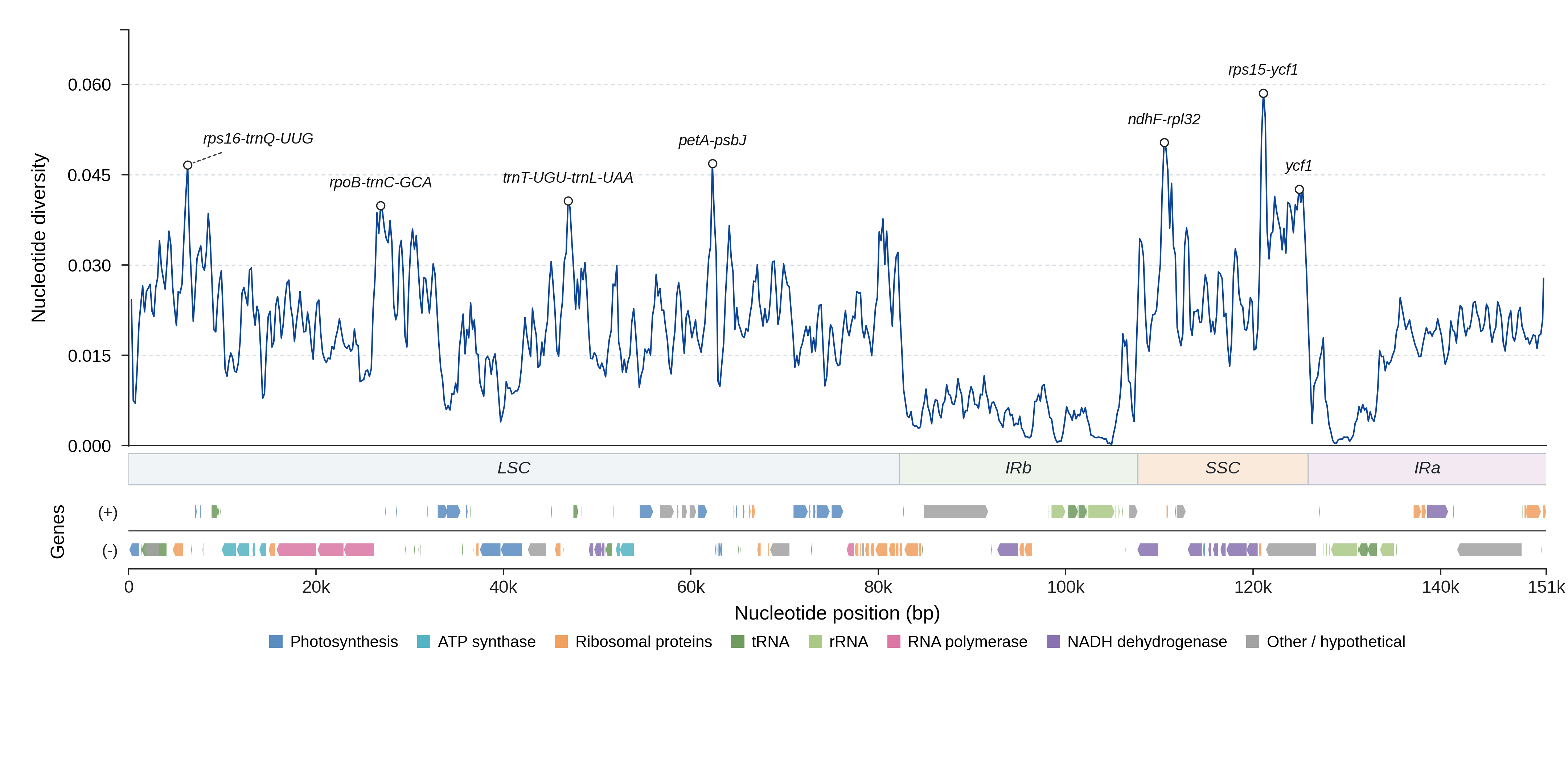 Sliding-window nucleotide diversity