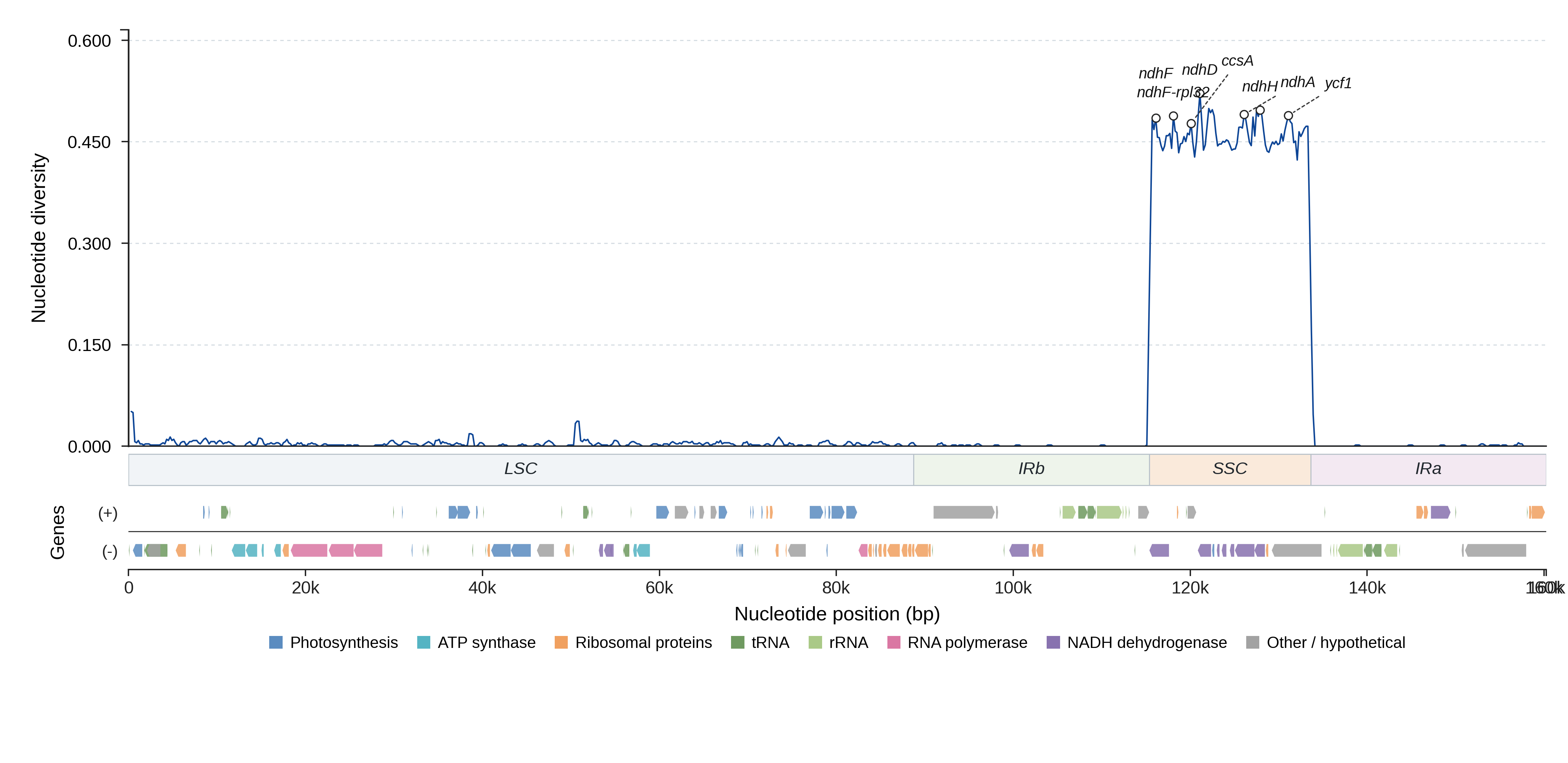 Sliding-window nucleotide diversity
