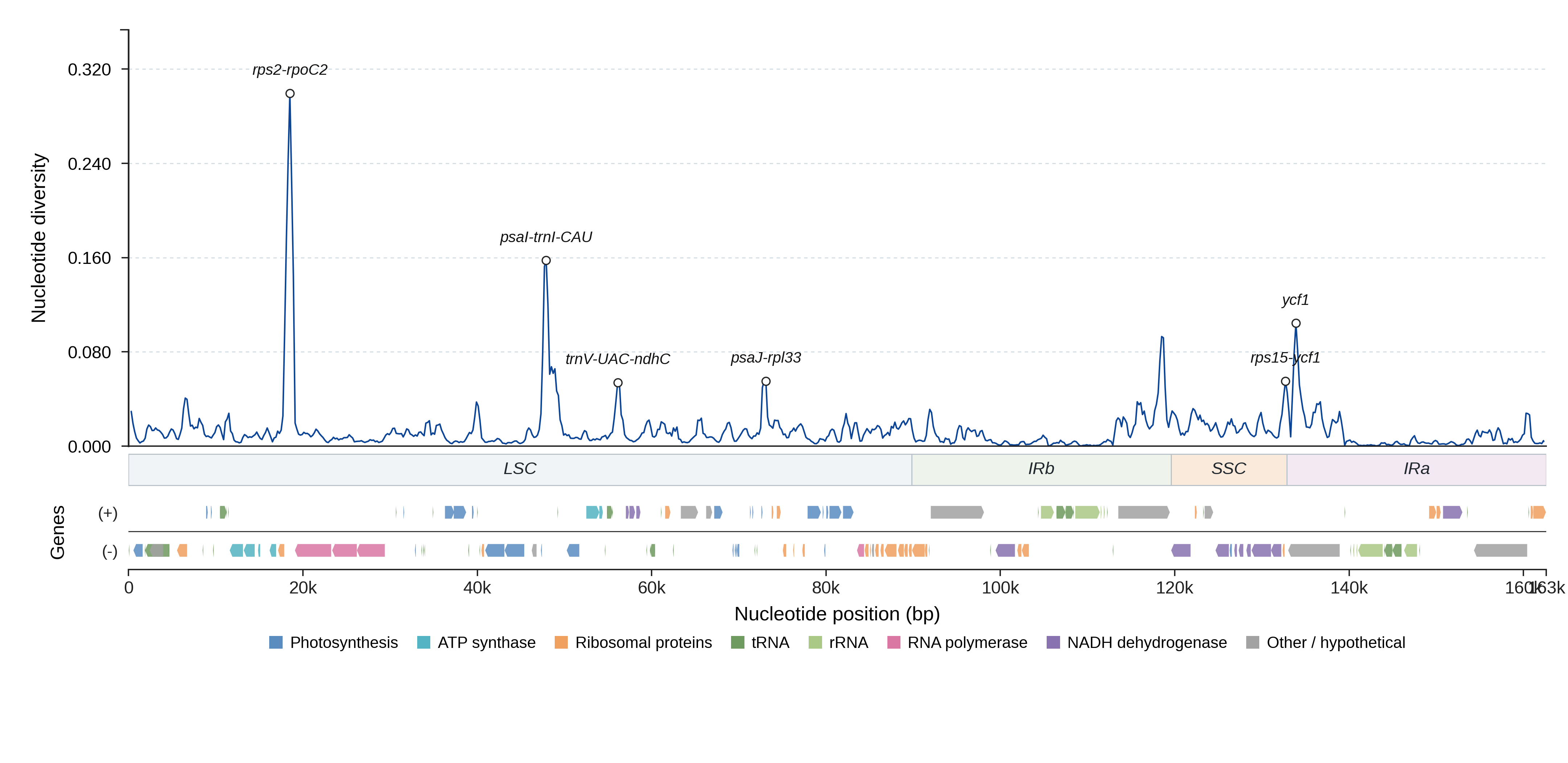 Sliding-window nucleotide diversity