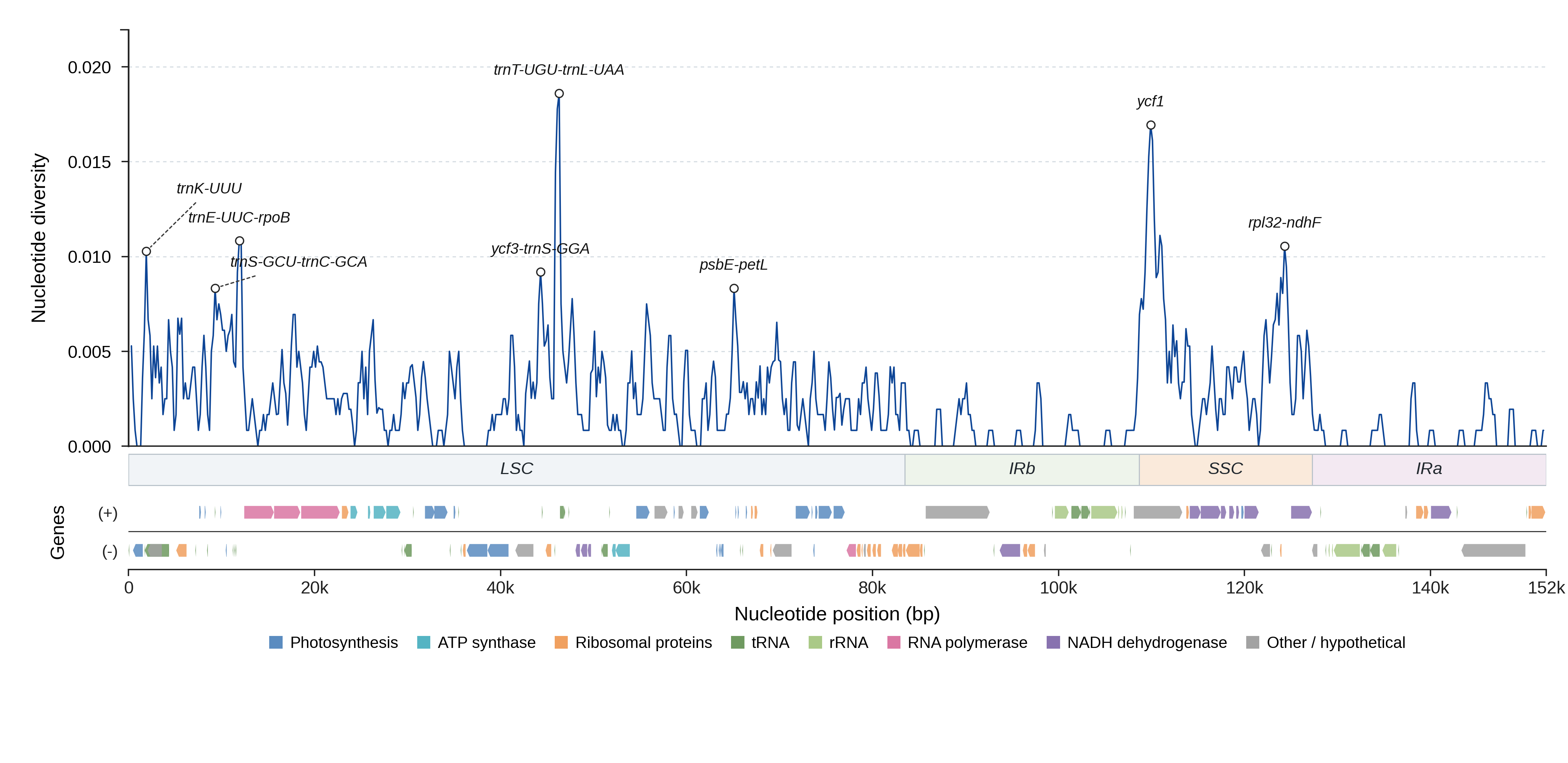 Sliding-window nucleotide diversity