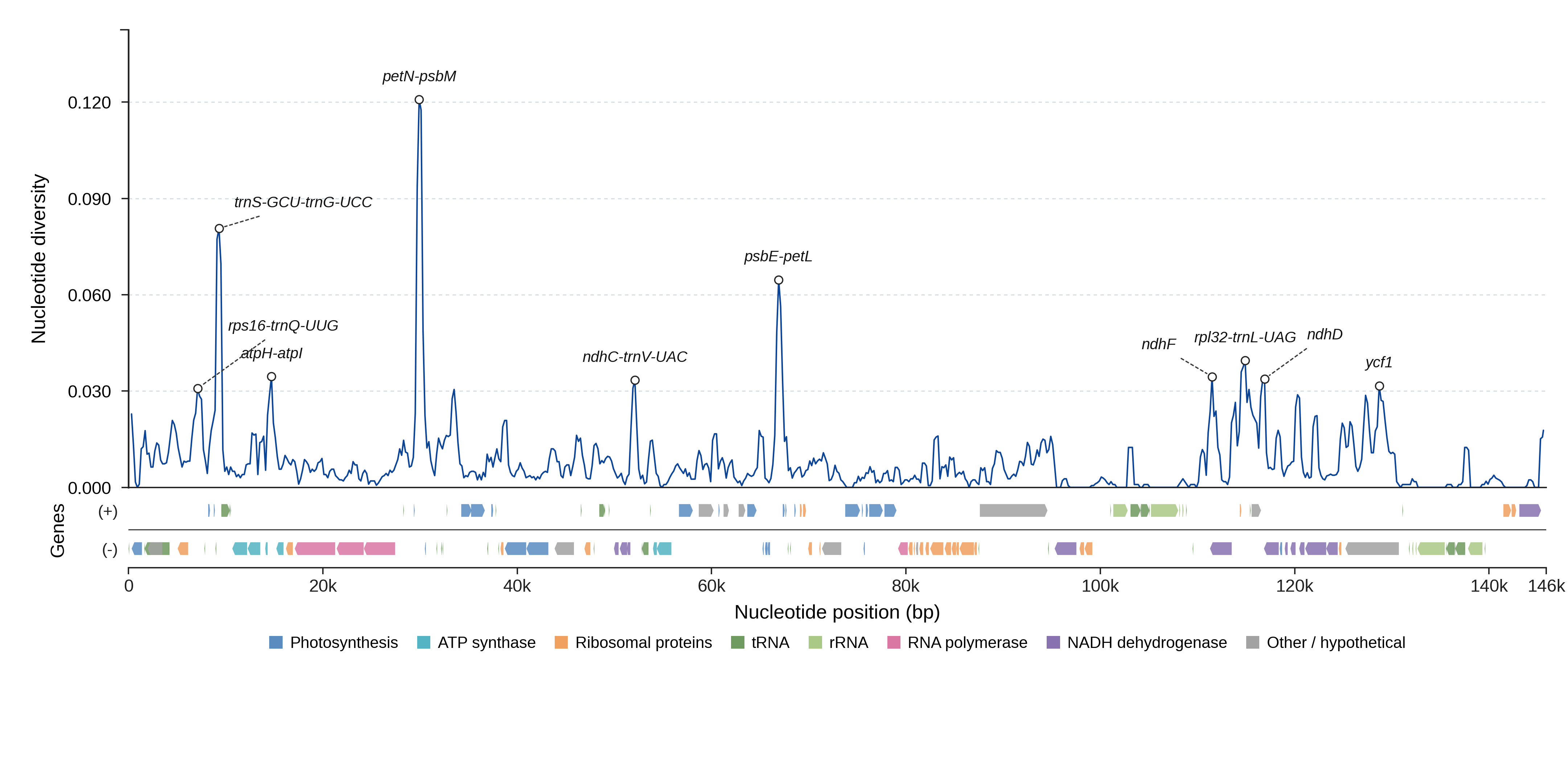 Sliding-window nucleotide diversity
