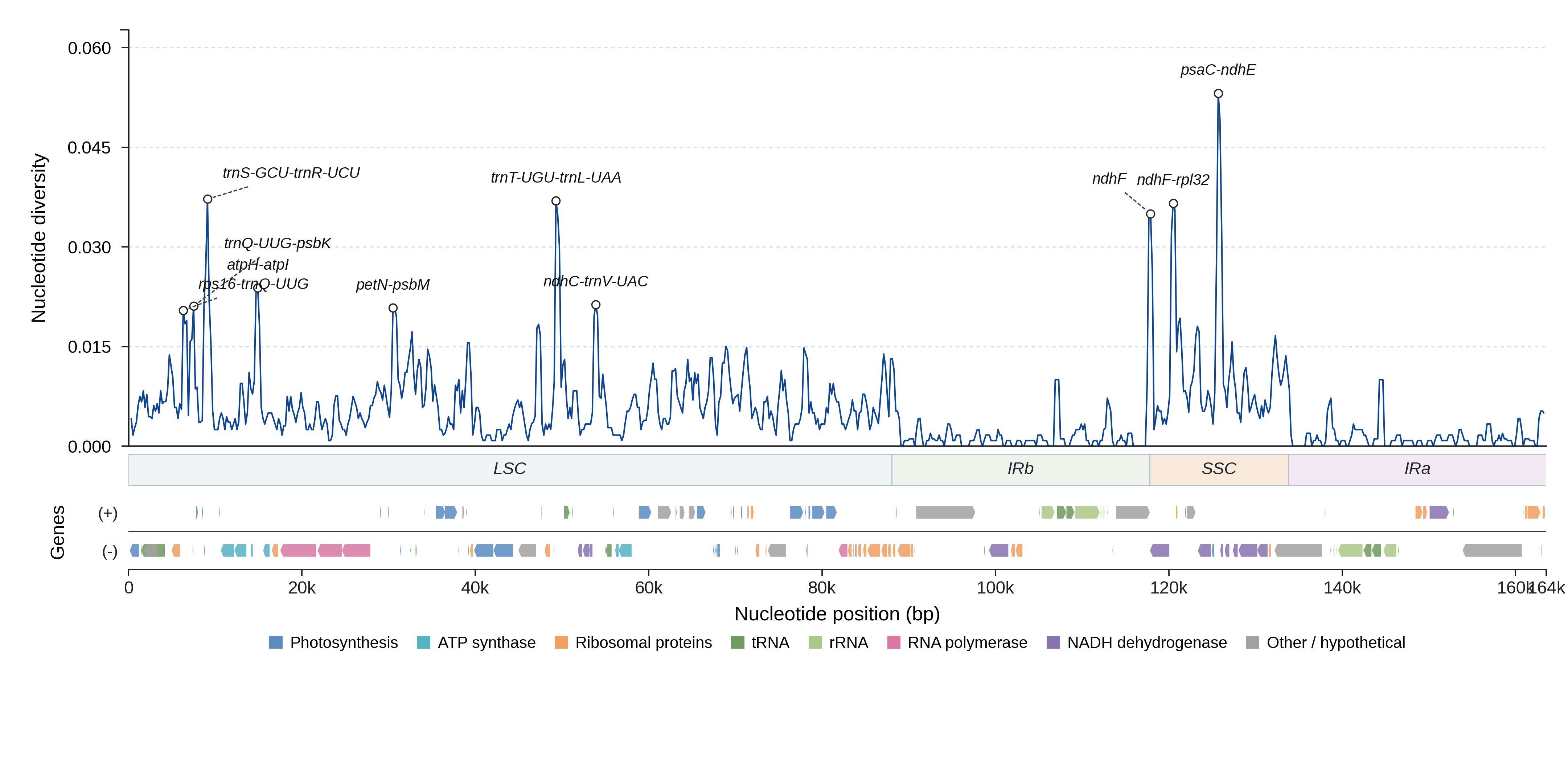 Sliding-window nucleotide diversity