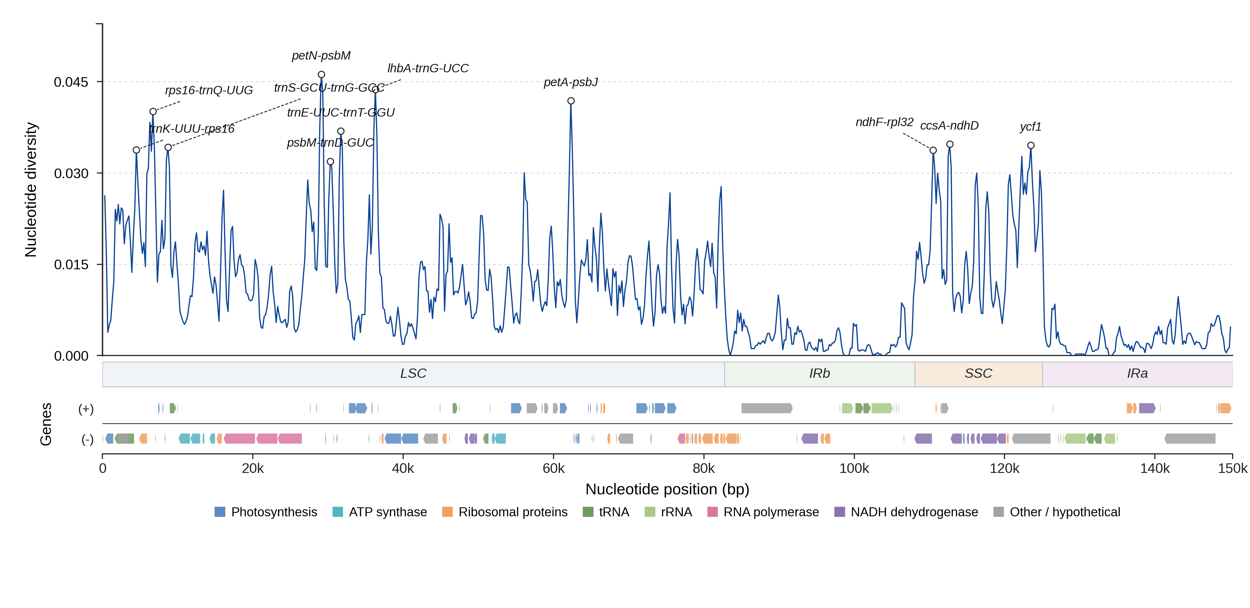 Sliding-window nucleotide diversity