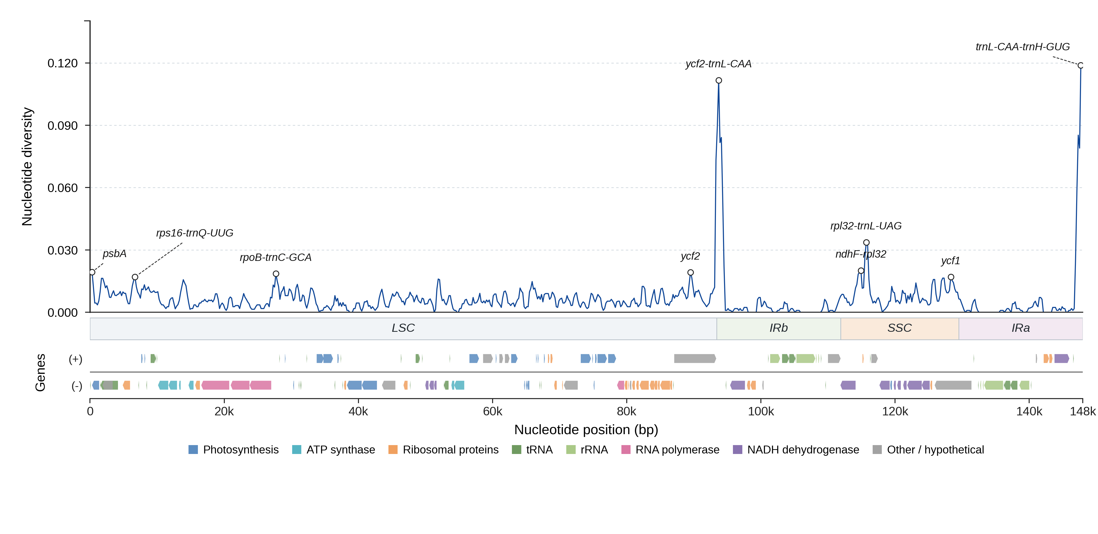 Sliding-window nucleotide diversity