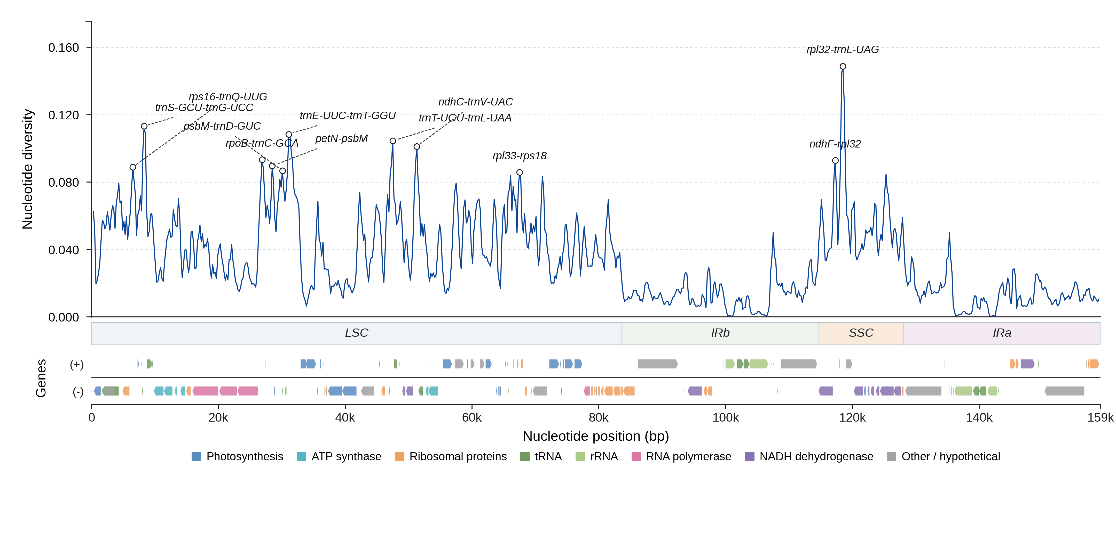Sliding-window nucleotide diversity