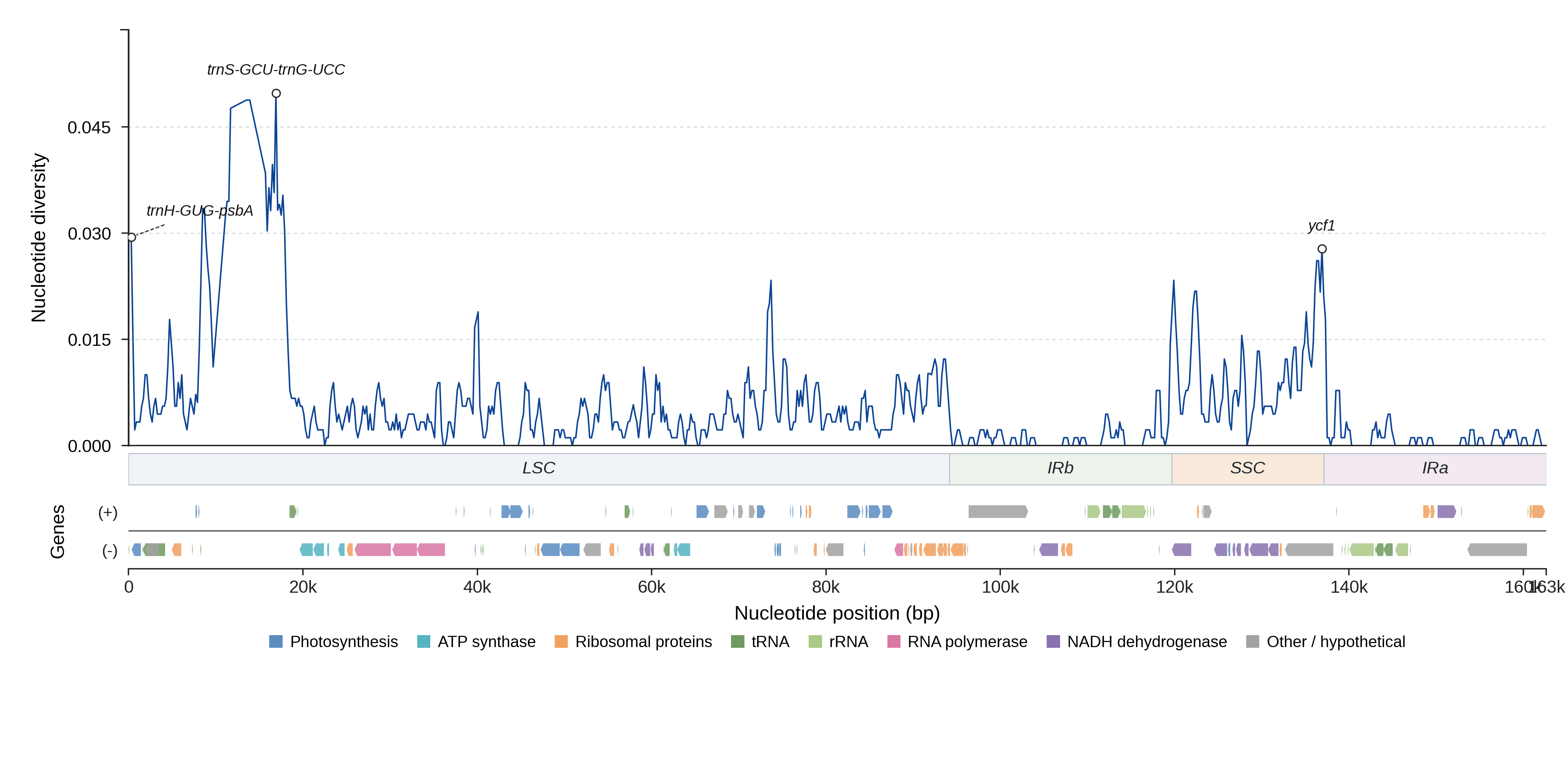 Sliding-window nucleotide diversity